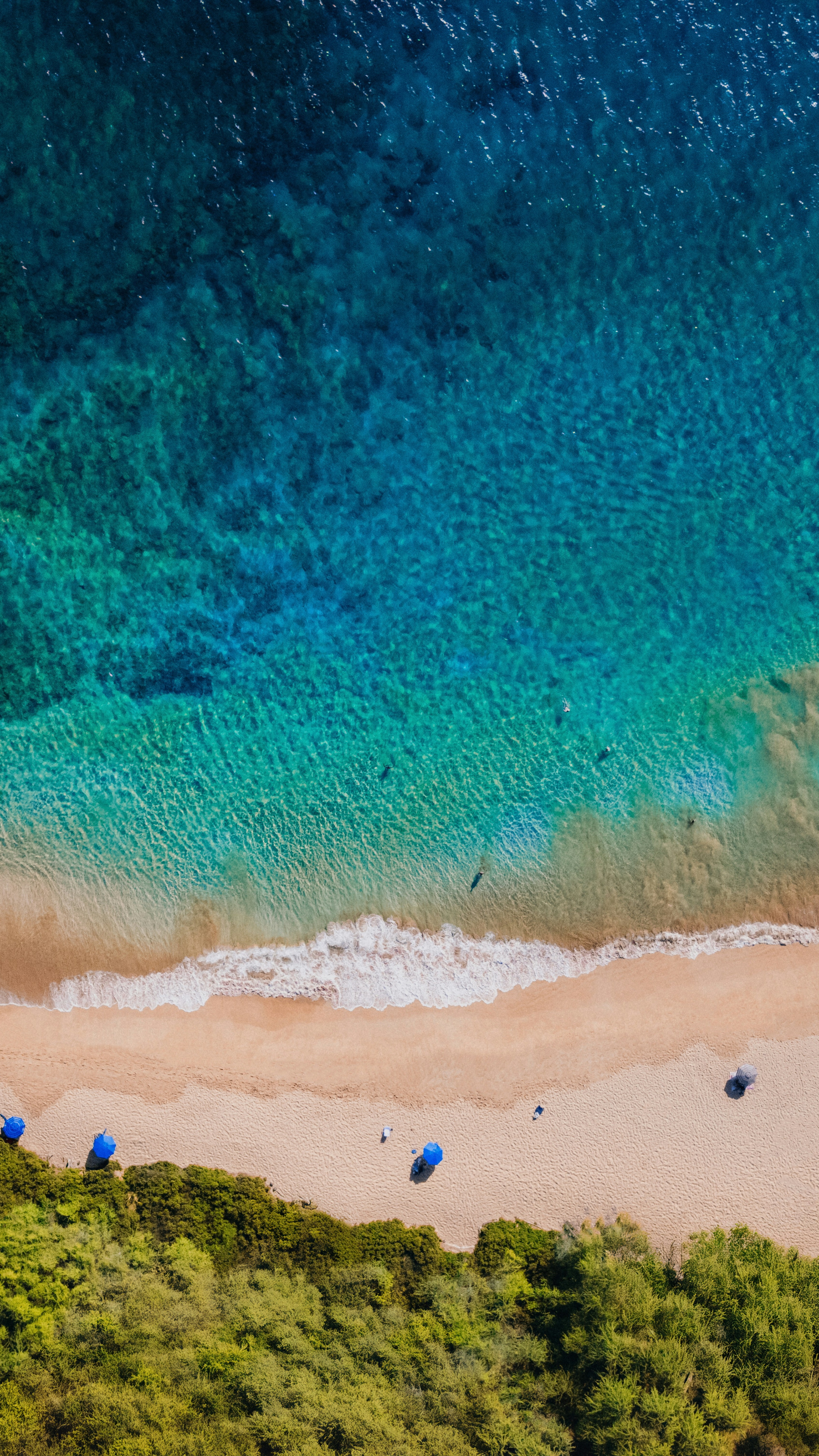 Wallpapers
