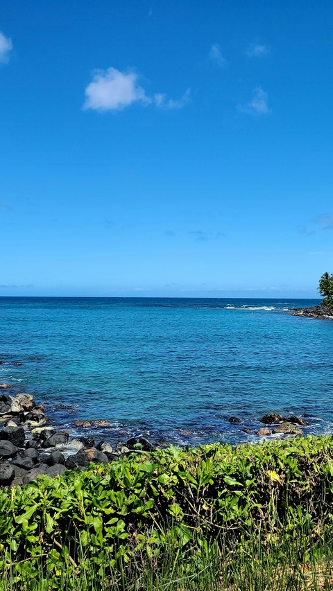 Tropical Rocky Coastal Ocean View