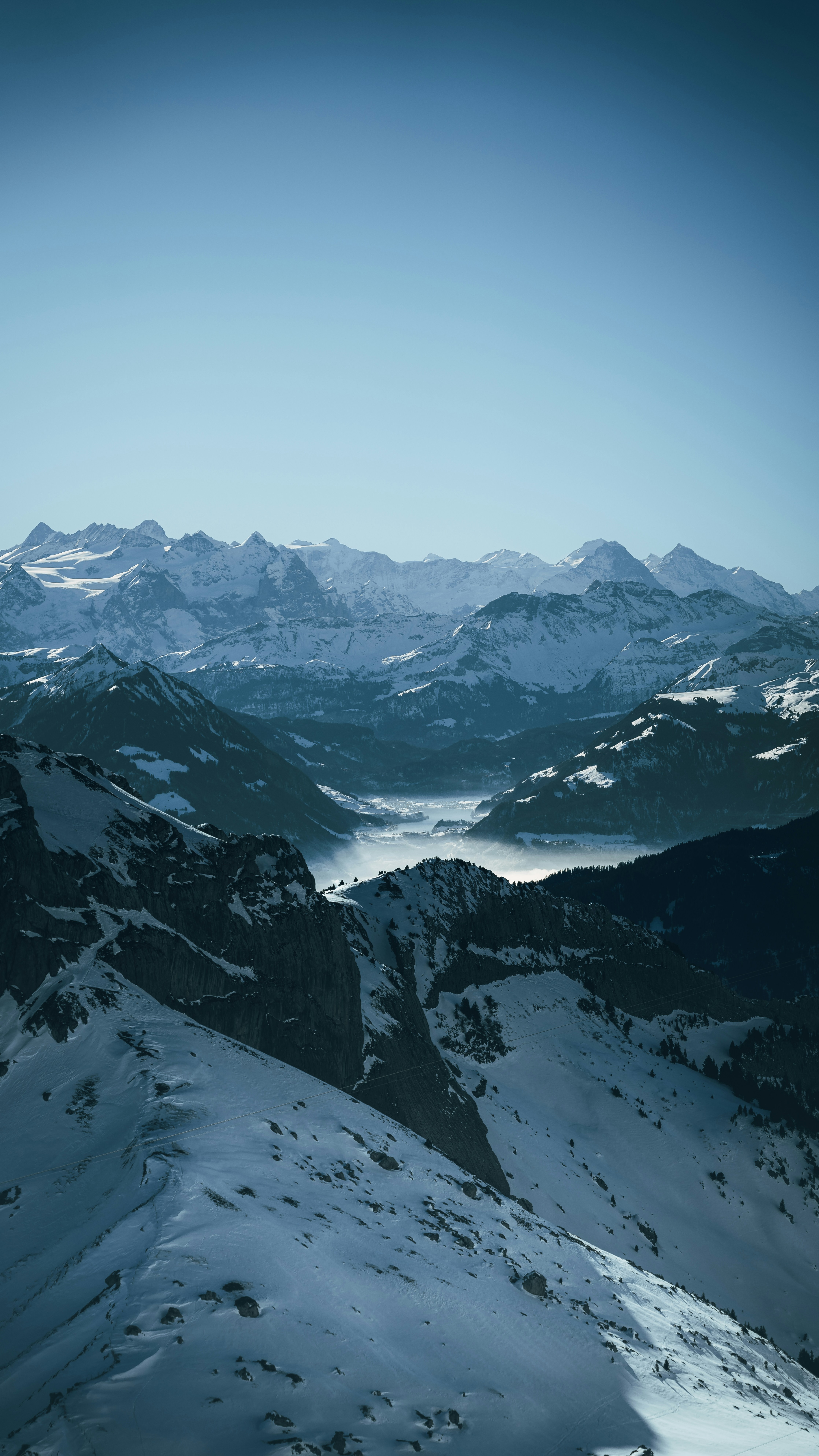 Wallpapers