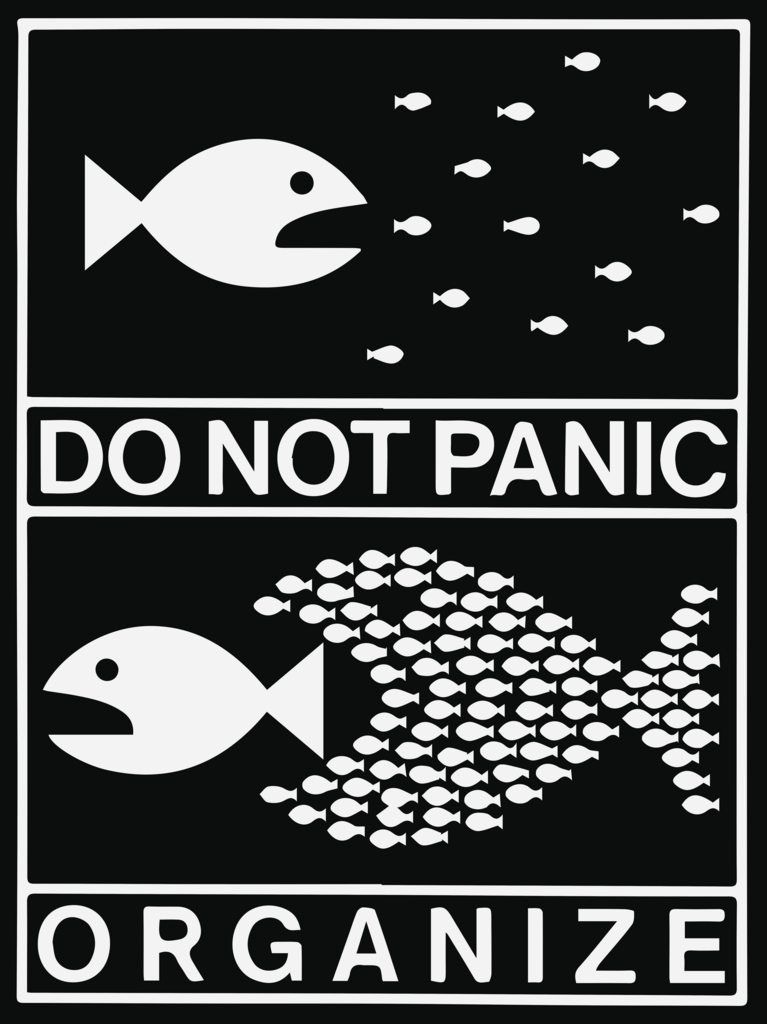 Do Not Panic Organize Fish Poster