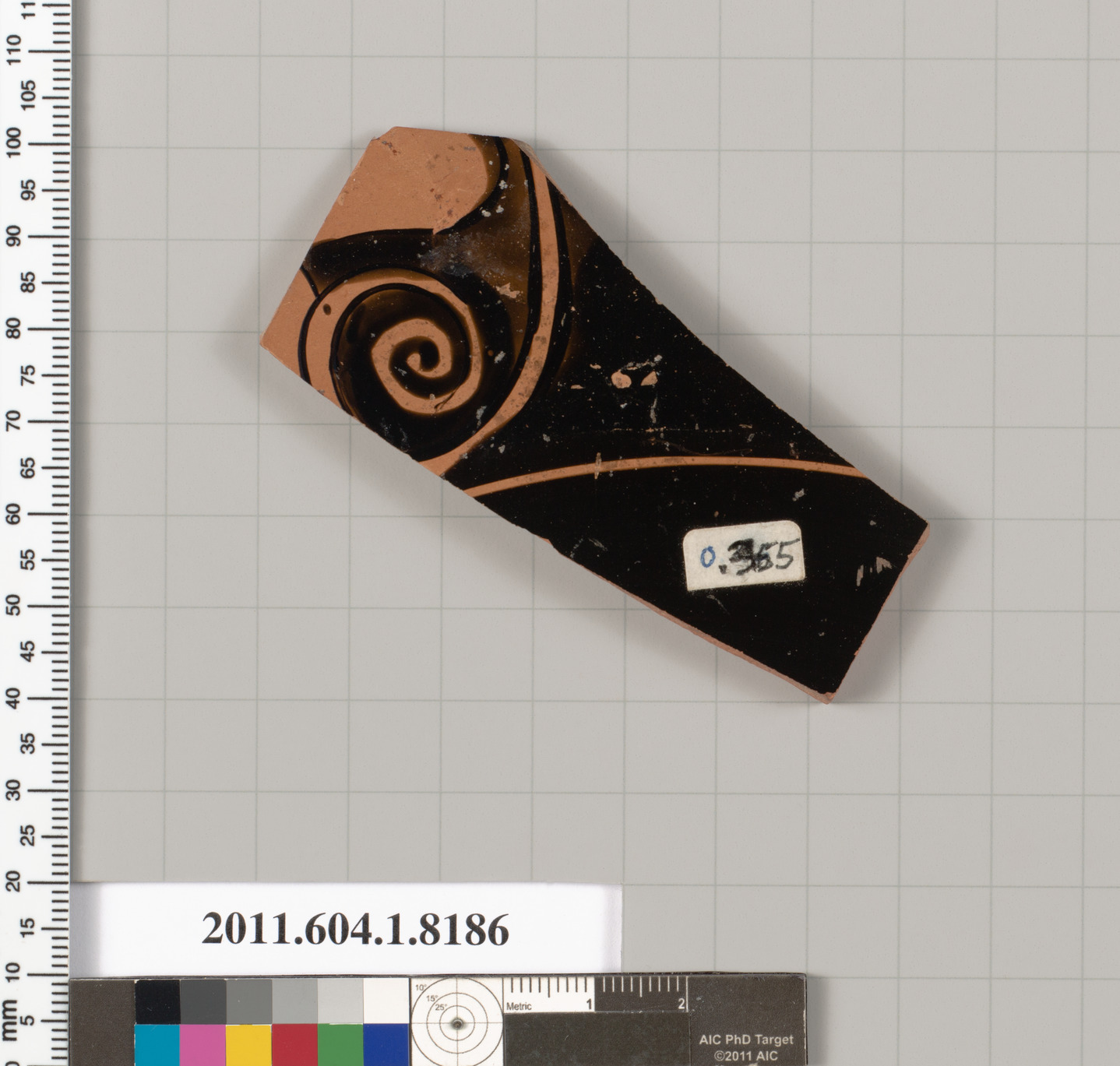 Terracotta Pottery Fragment