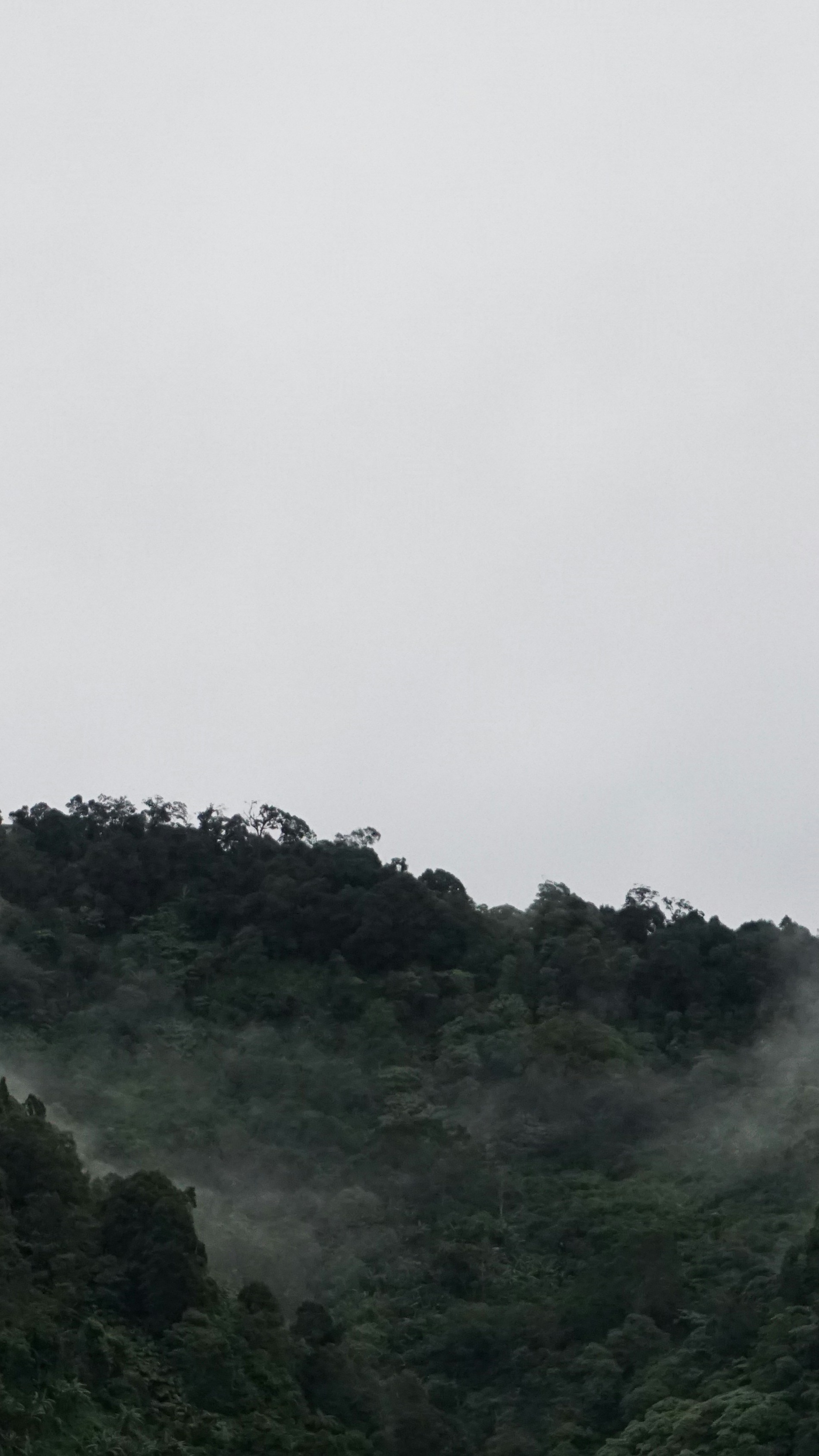 Landscapes