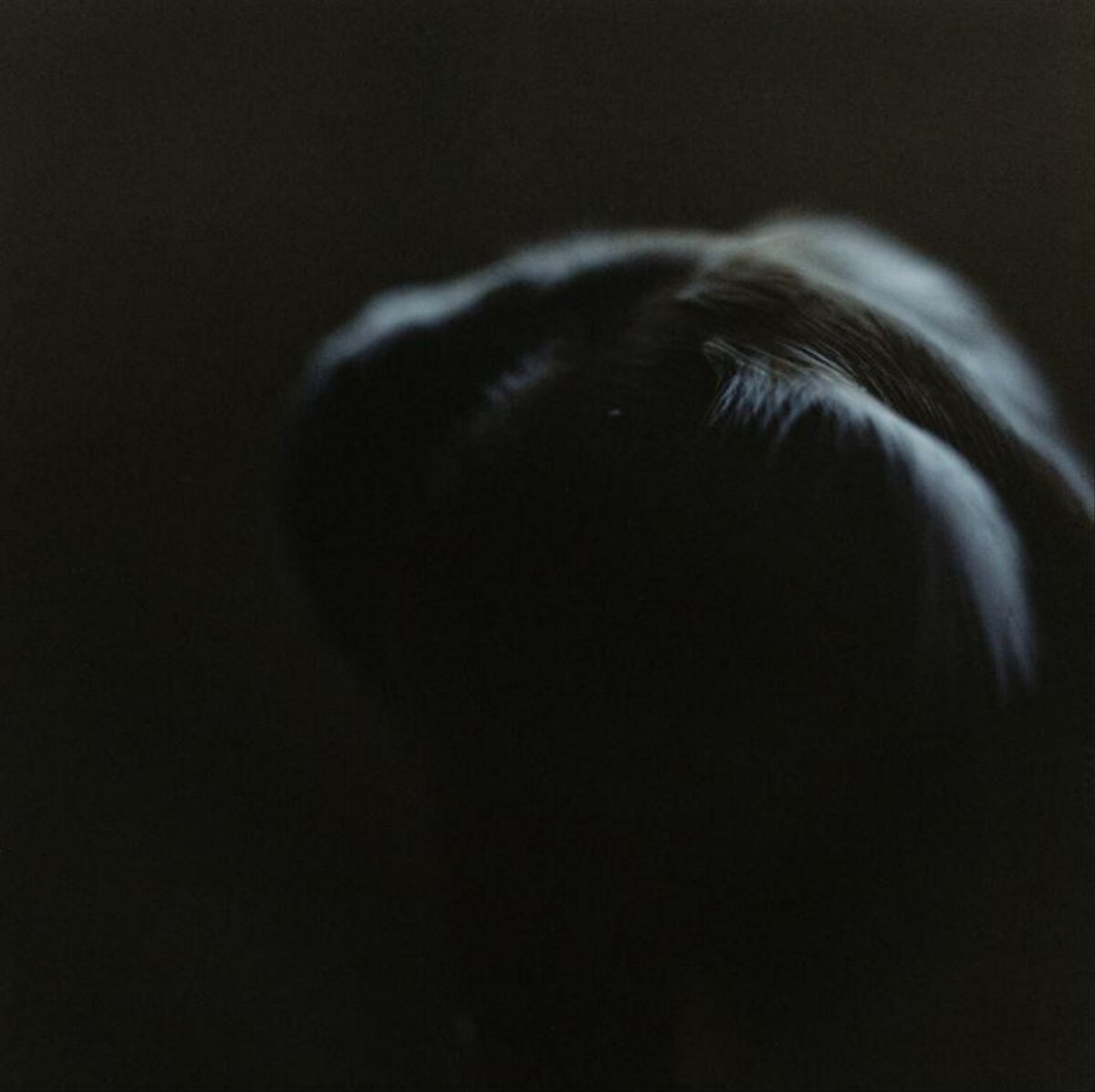 Back View of Head in Dark