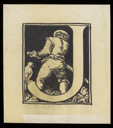 Illuminated Initial U With Falconer