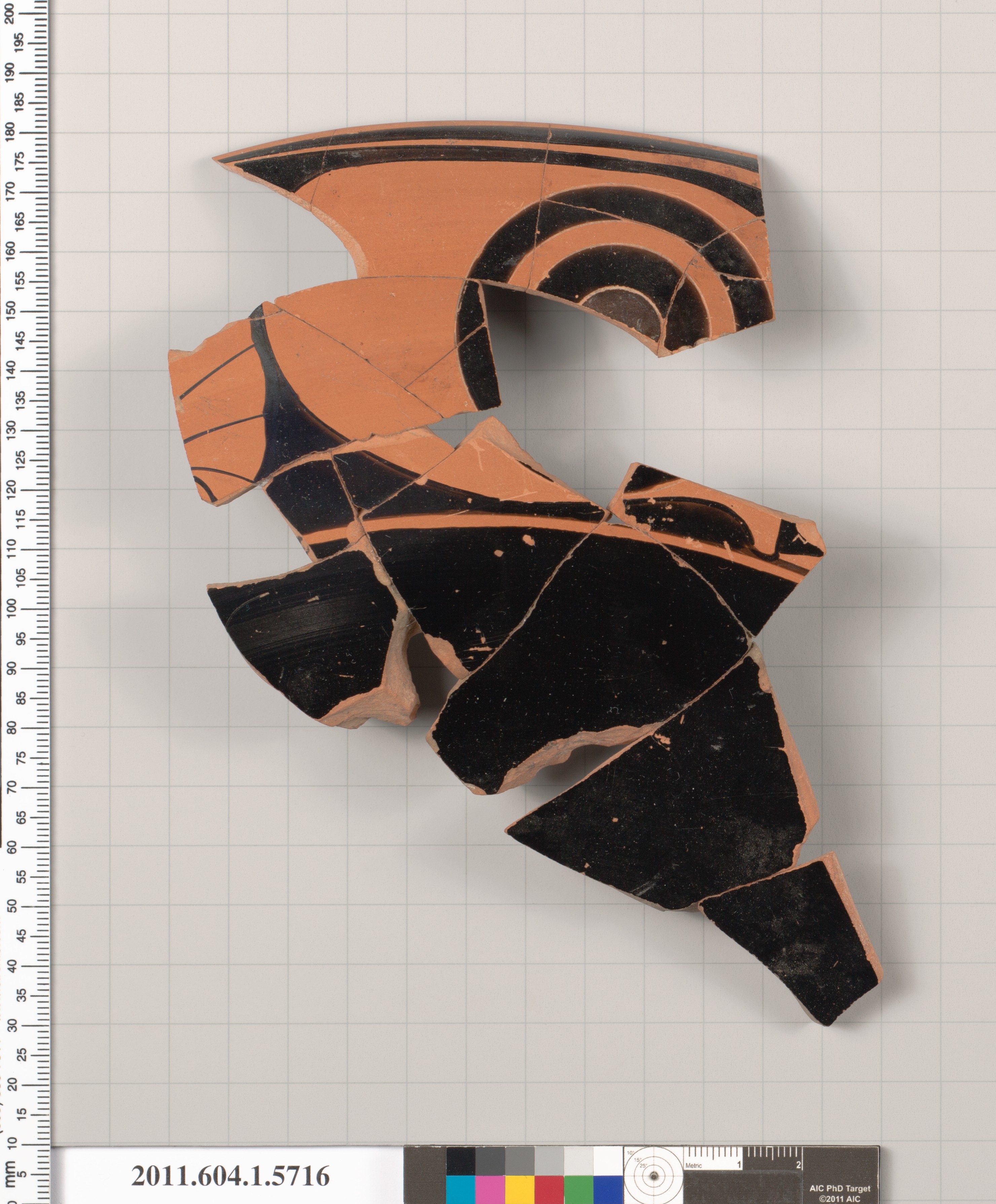 Ancient Black Figure Pottery Fragment