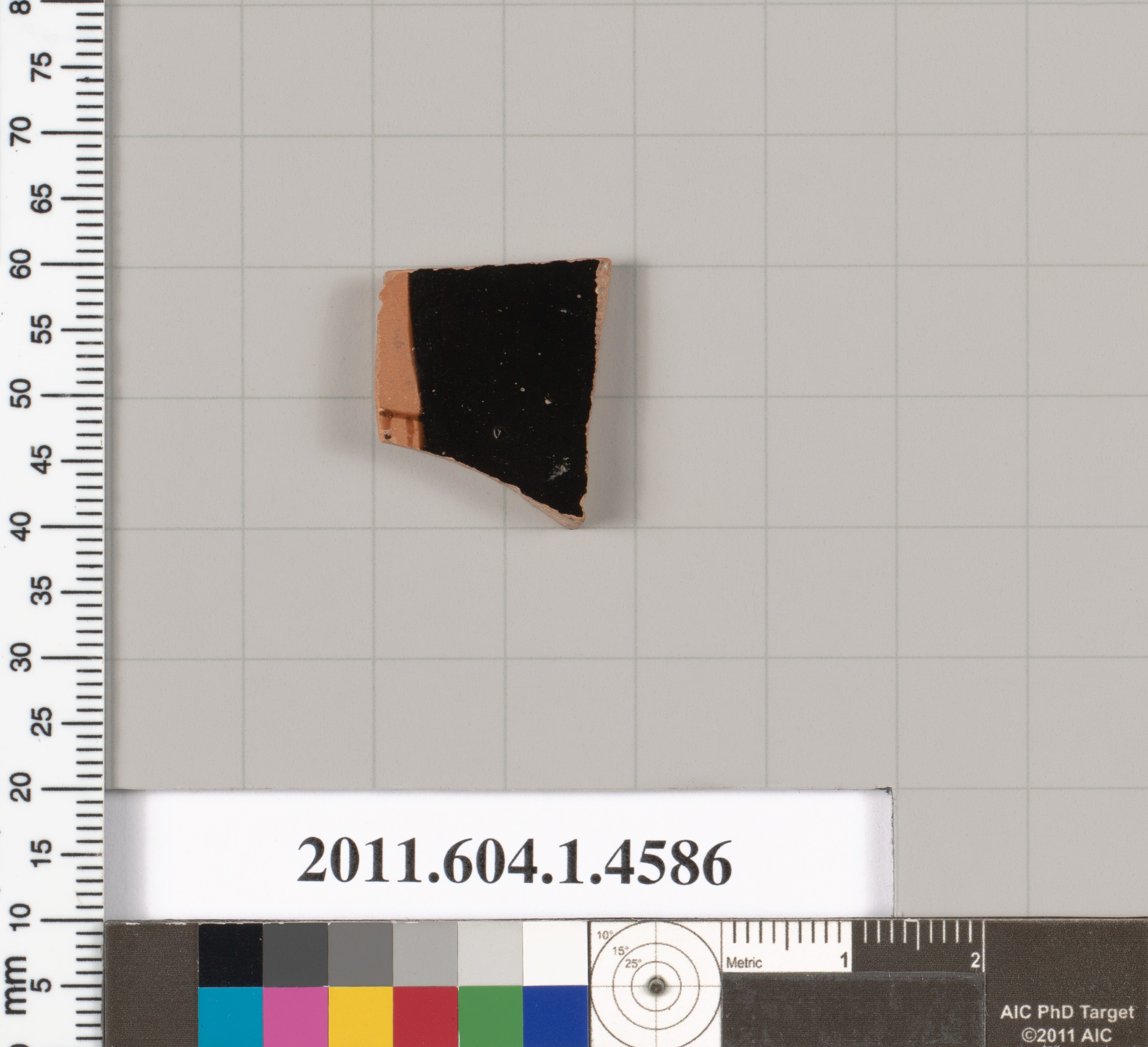Archaeological Pottery Shard Specimen