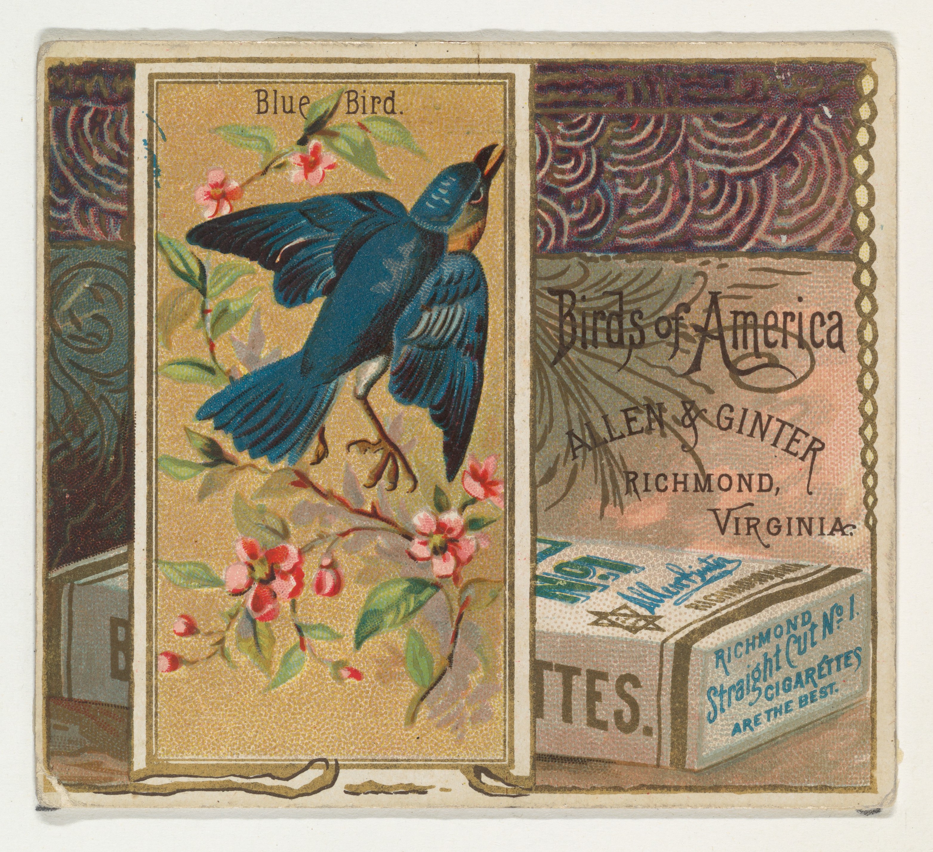 Vintage Blue Bird Cigarette Card