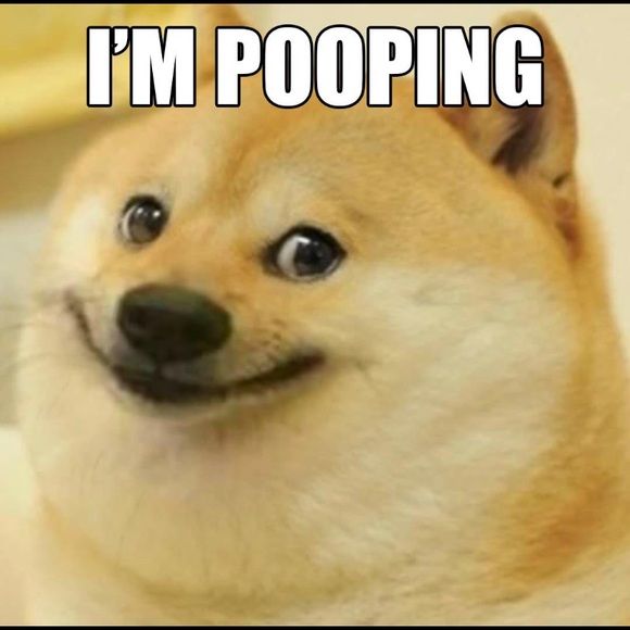 I'm Pooping Doge Meme