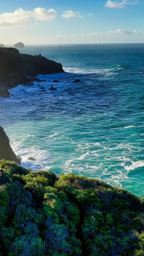 Rocky Coastal Ocean View