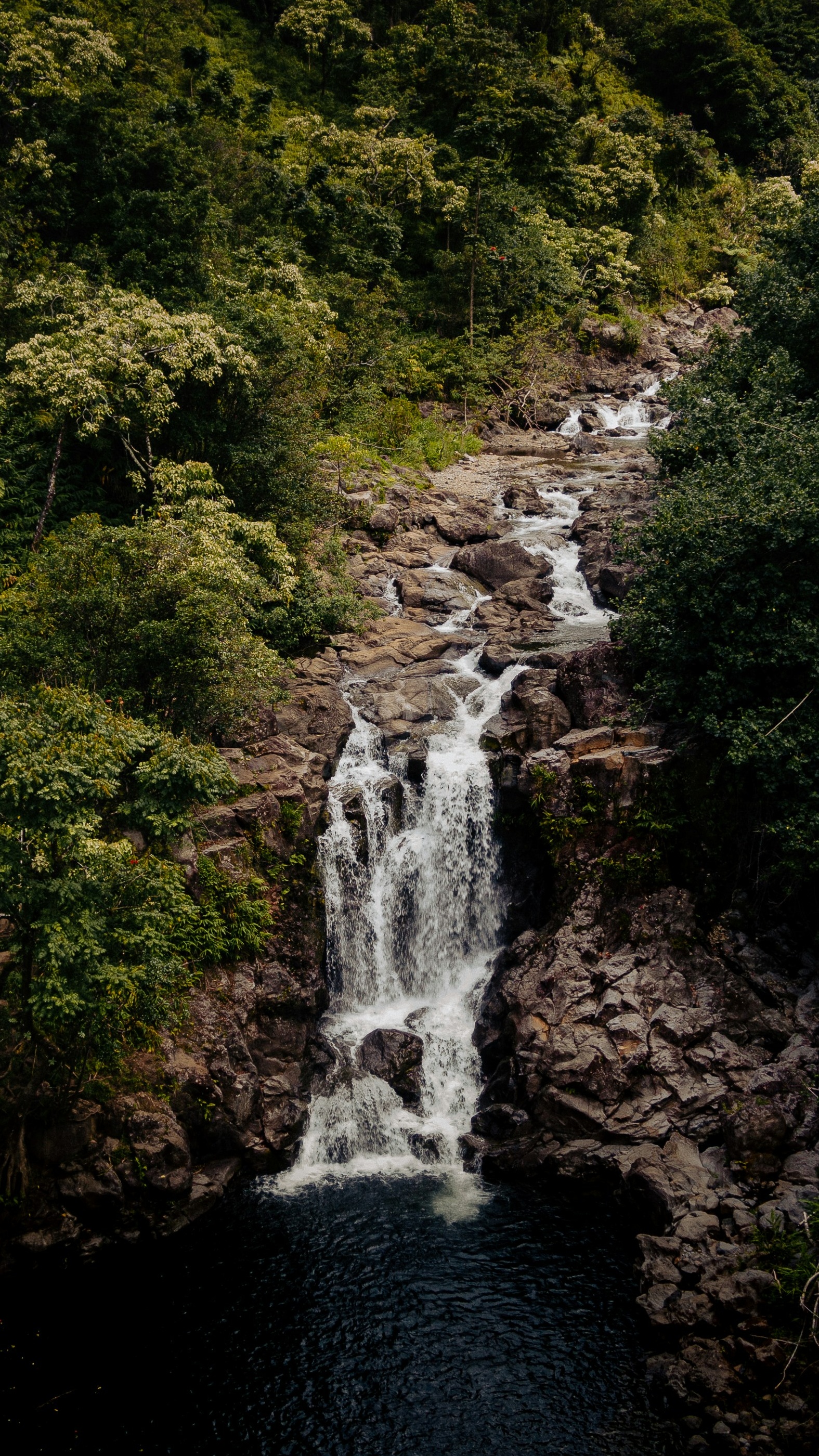 Wallpapers