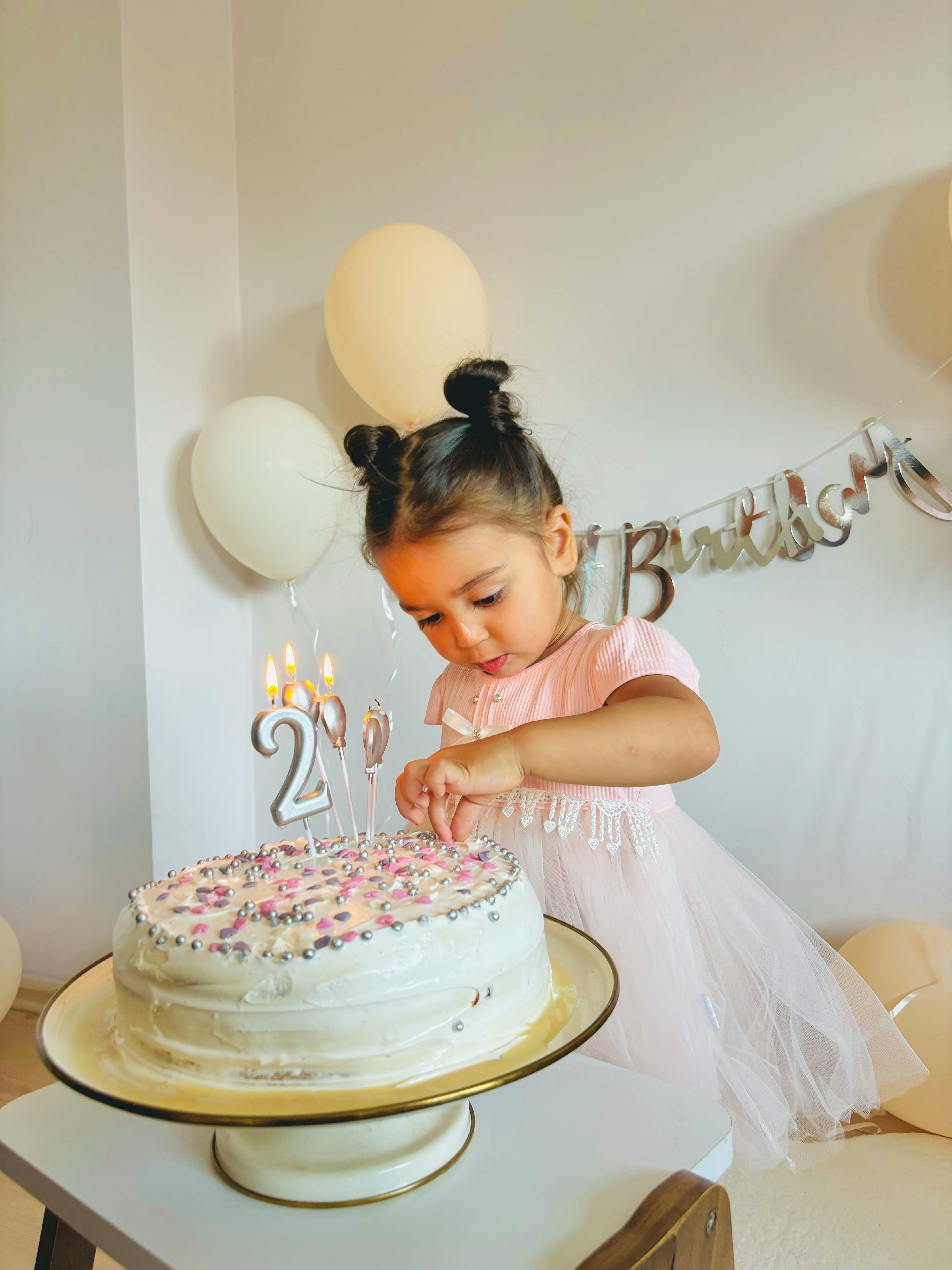 Little Girl's Second Birthday Celebration