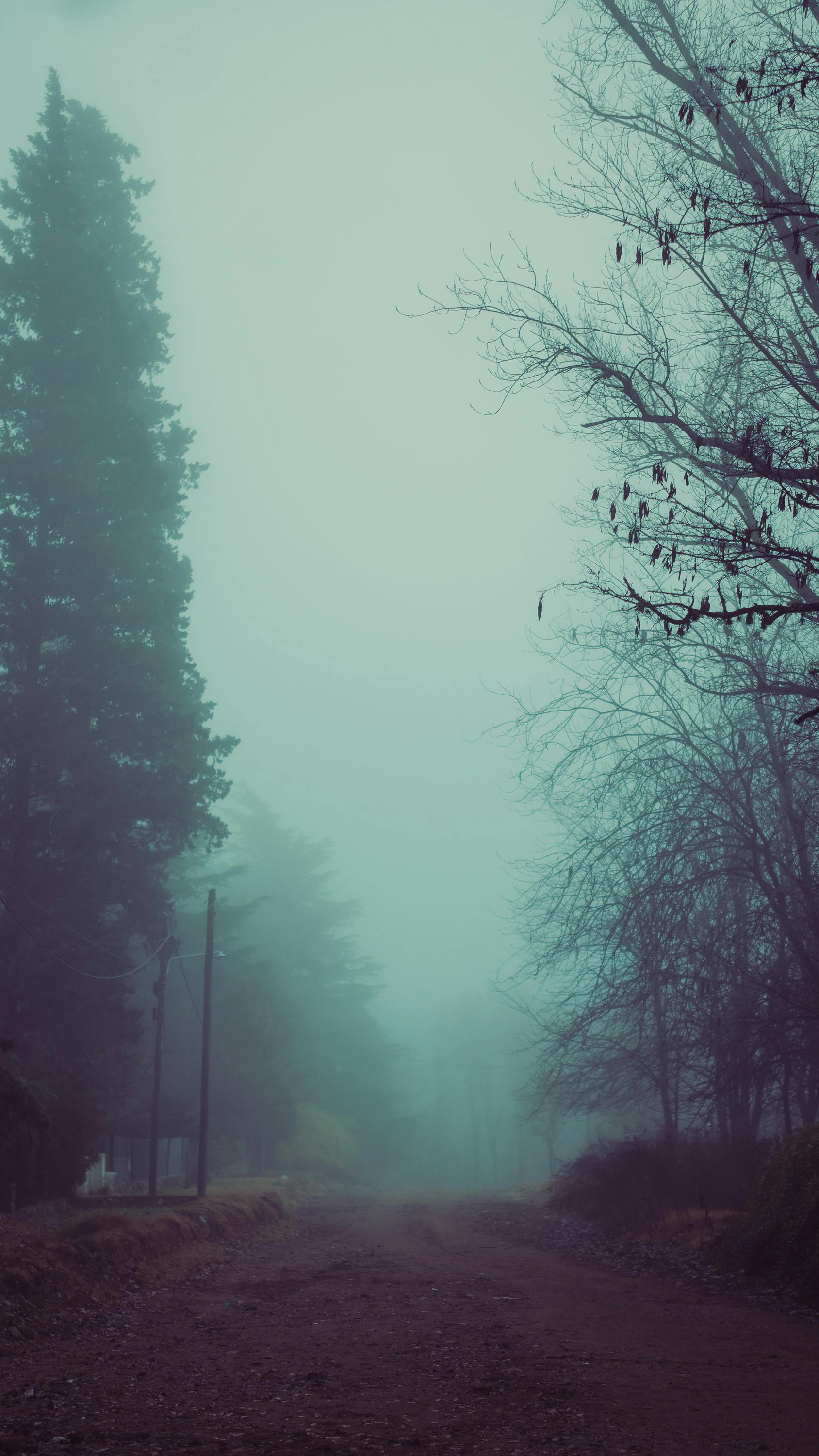 Wallpapers