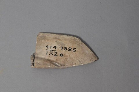 Labeled Archaeological Stone Fragment