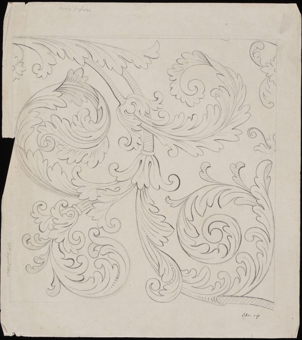 Pencil Sketch of Acanthus Scroll Ornament