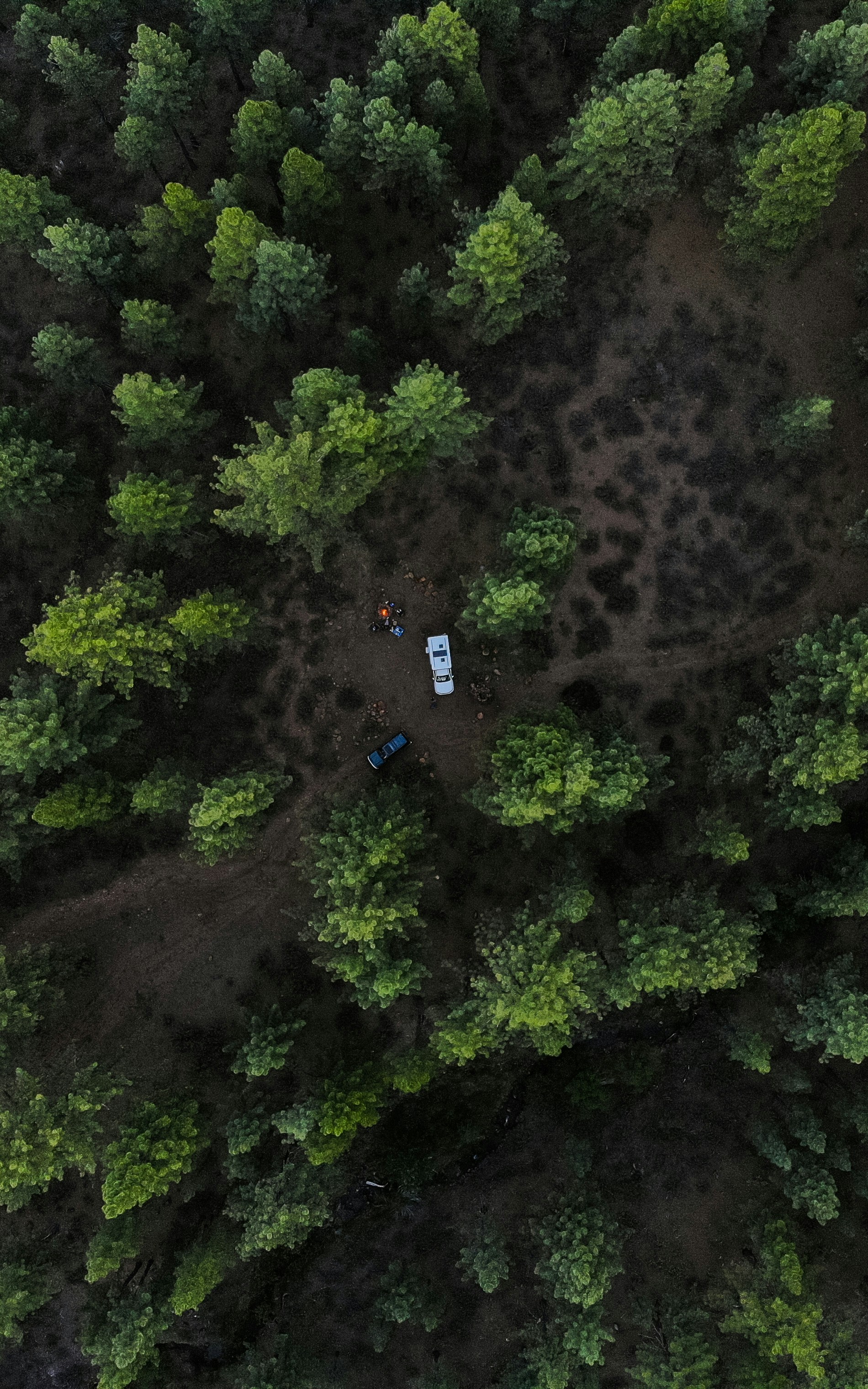 Aerial View of Forest Camping