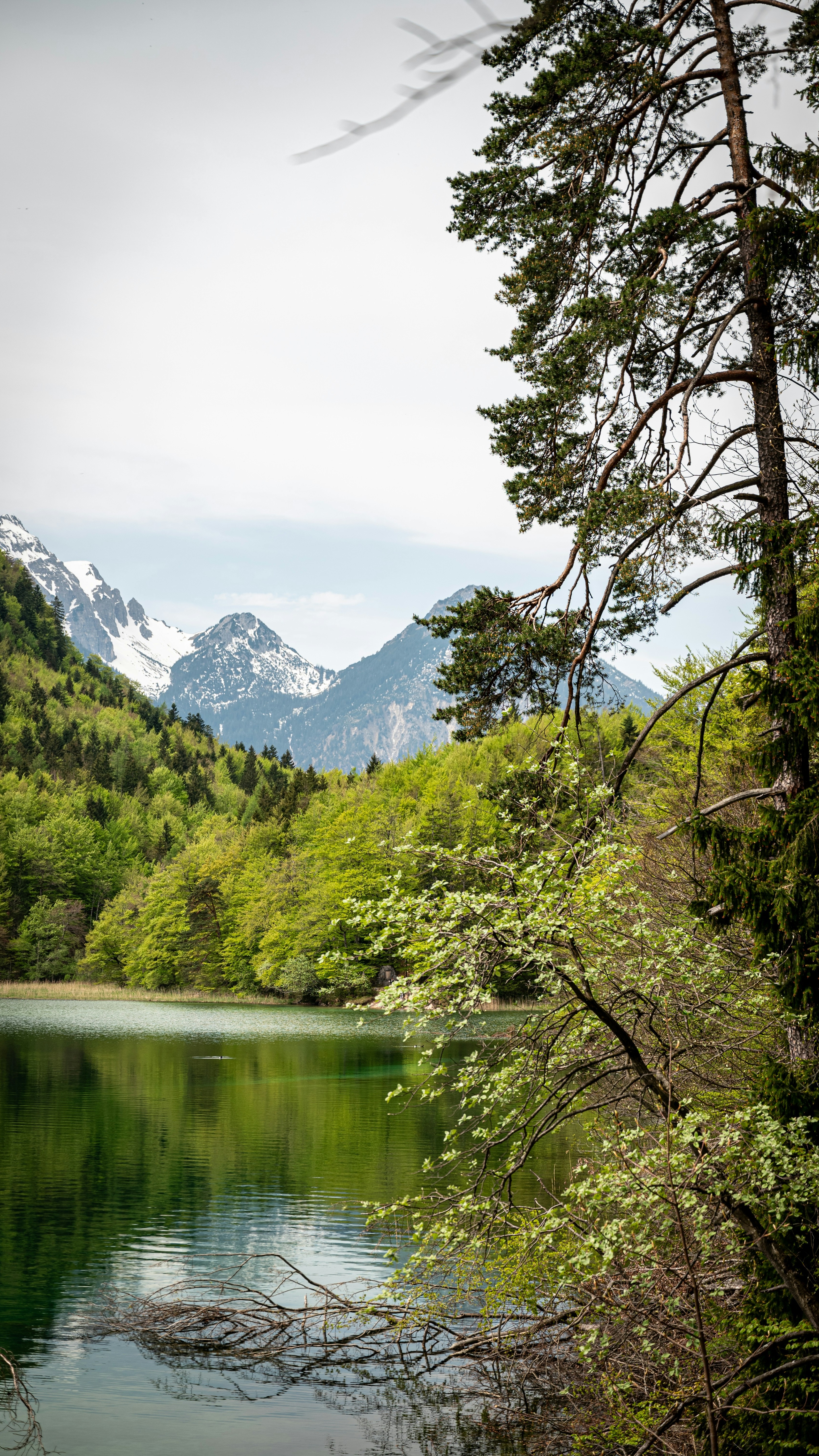 Landscapes