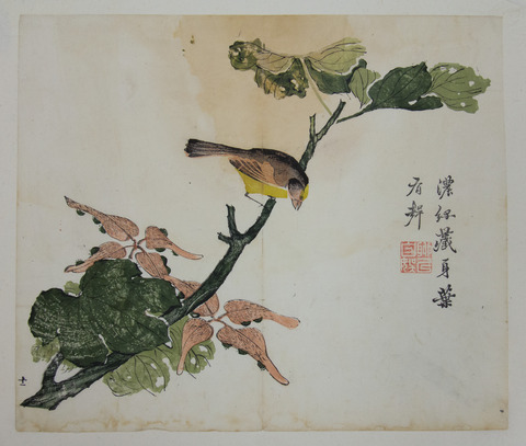 Traditional Chinese Bird on Branch Painting