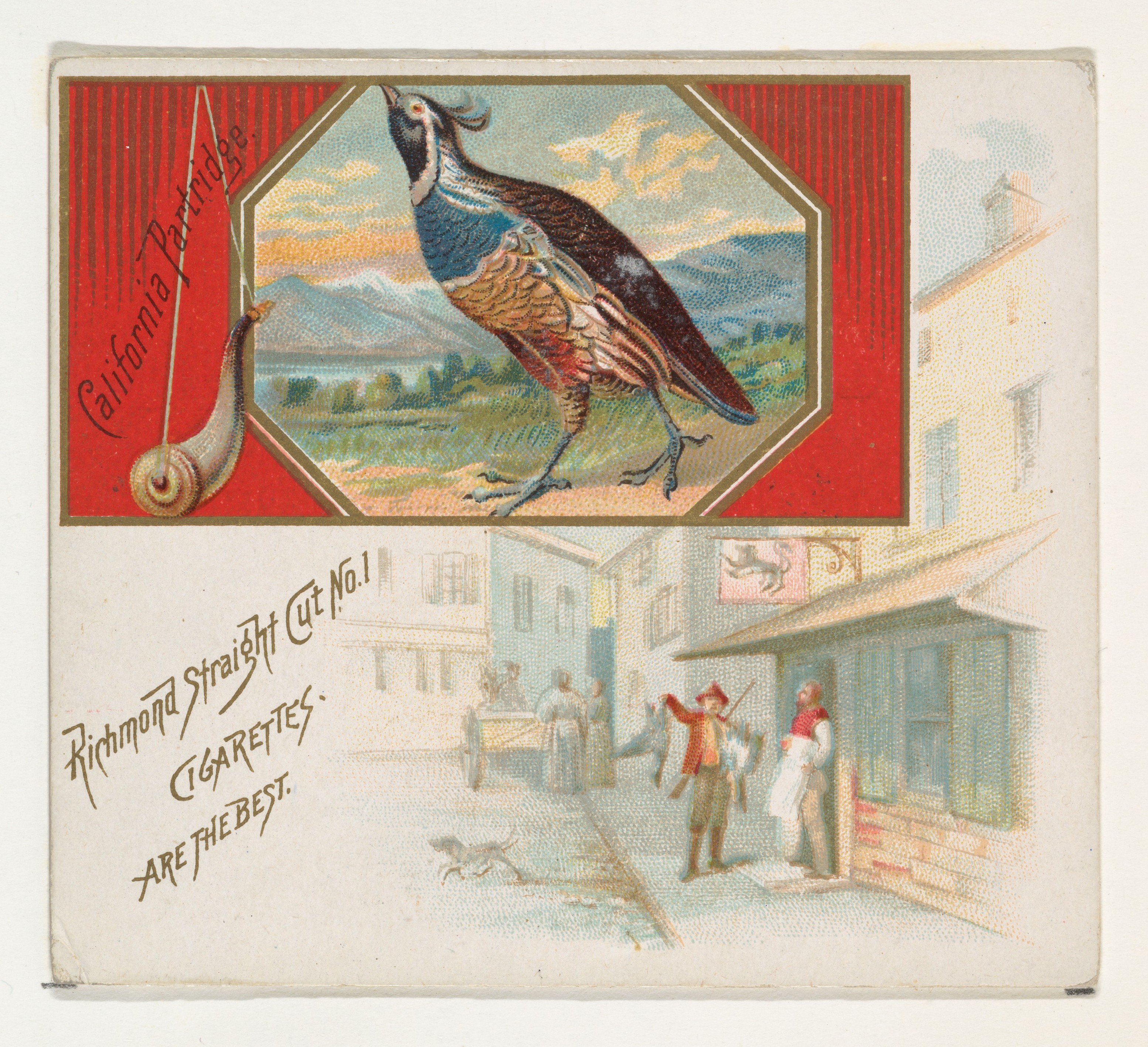 Vintage California Partridge Cigarette Ad