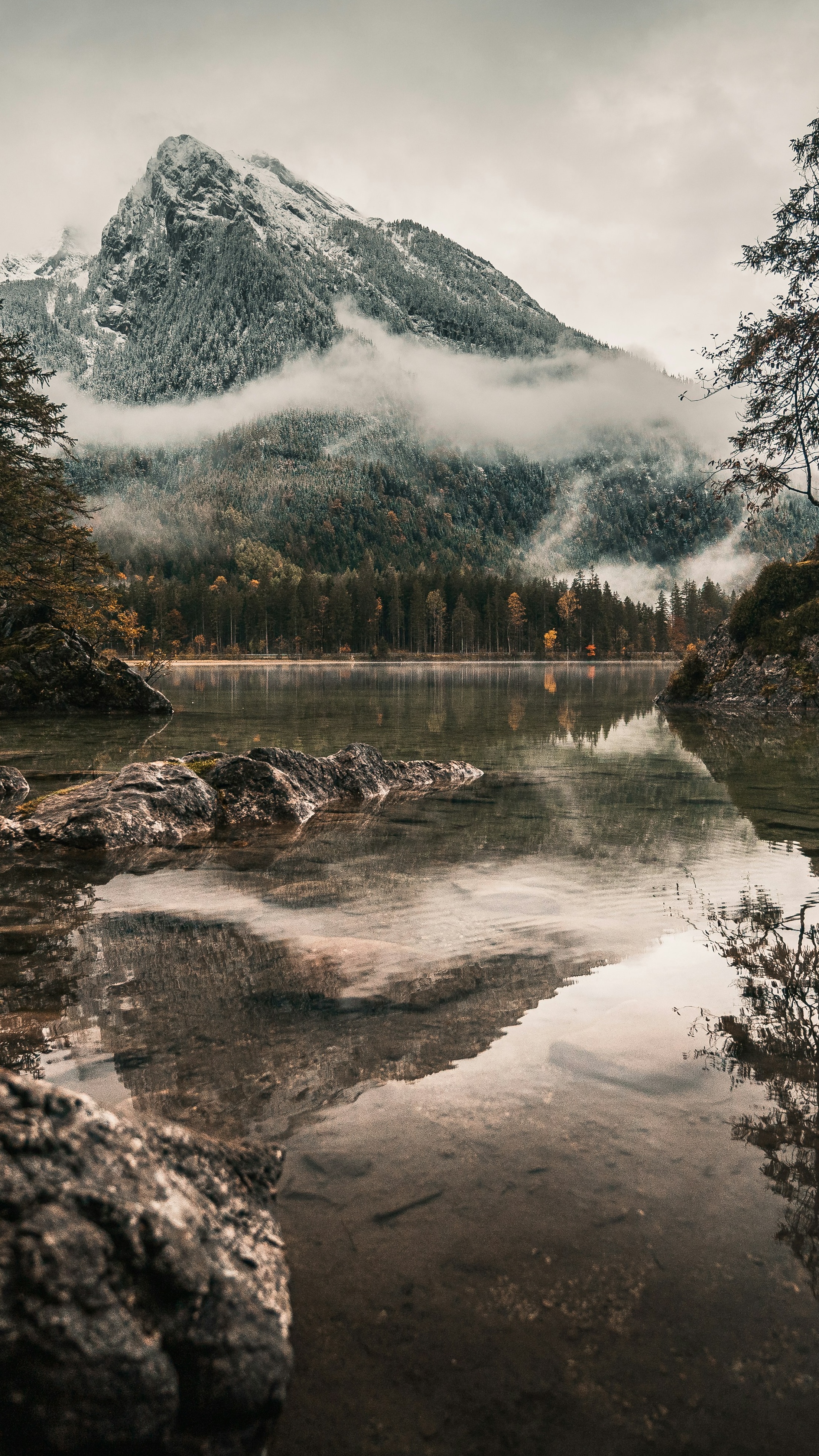 Wallpapers