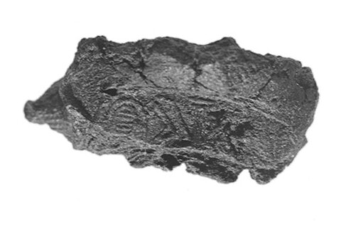 Piece of Natural Coal
