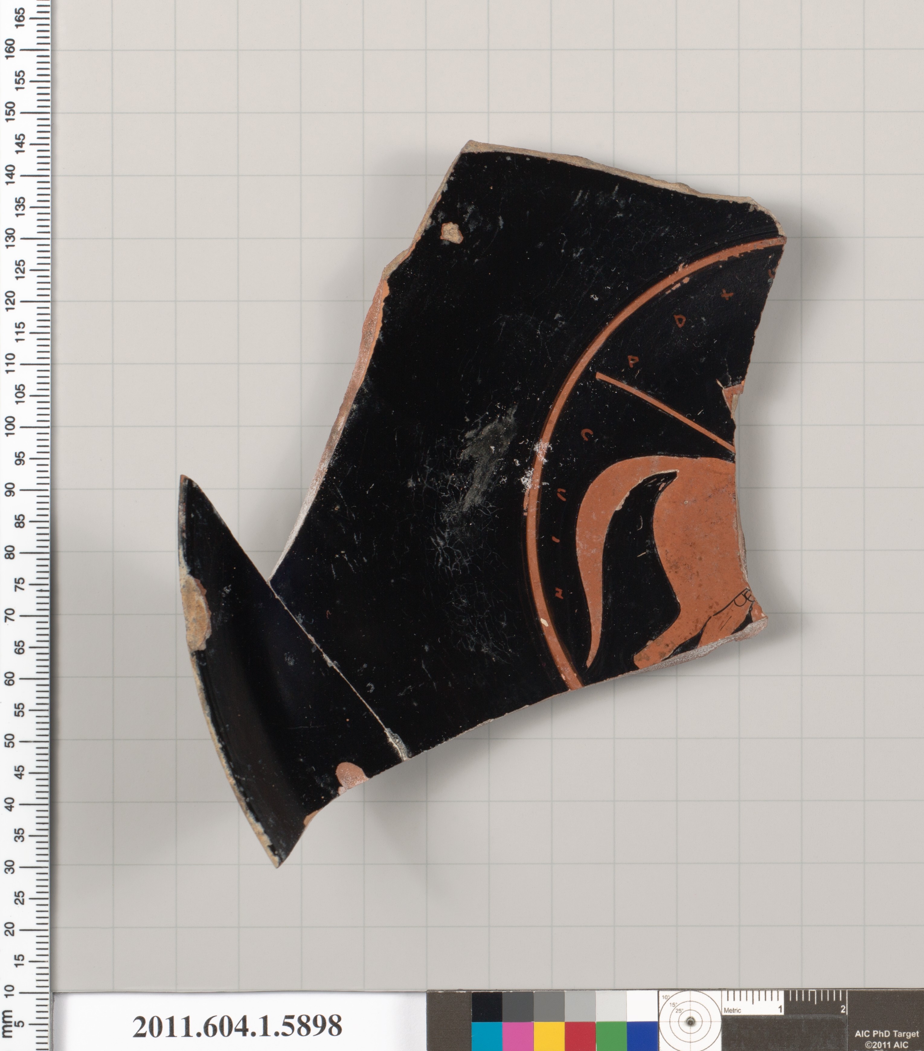 Ancient Pottery Fragment