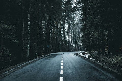 Winding Forest Road