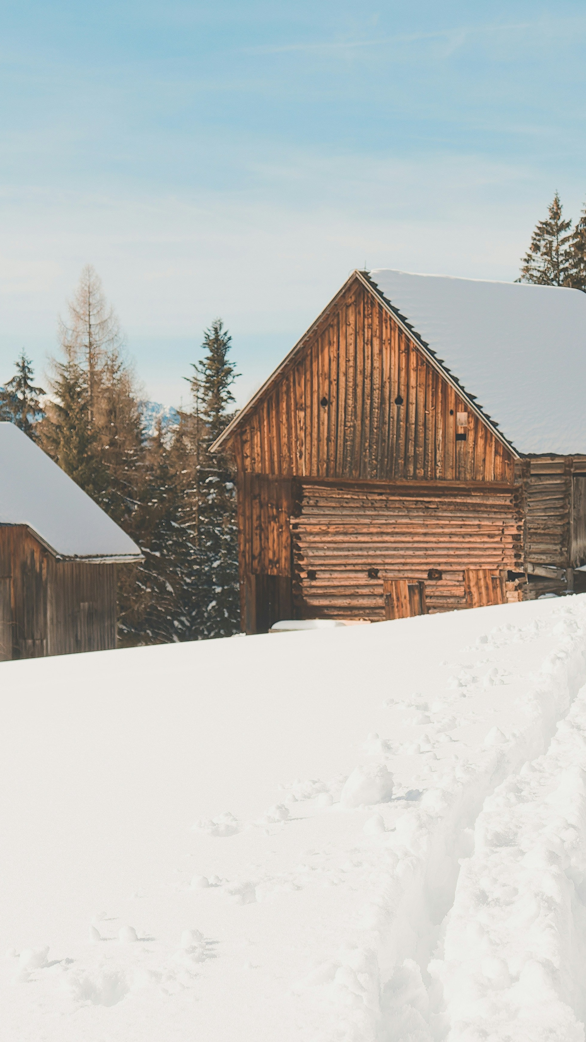 Wallpapers