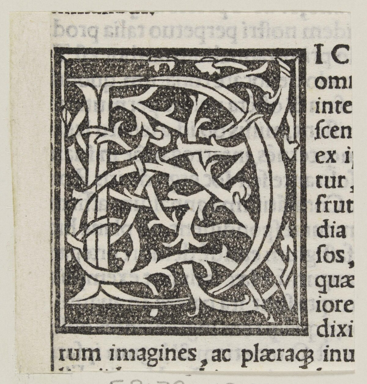 Ornate Medieval Woodcut Initial P