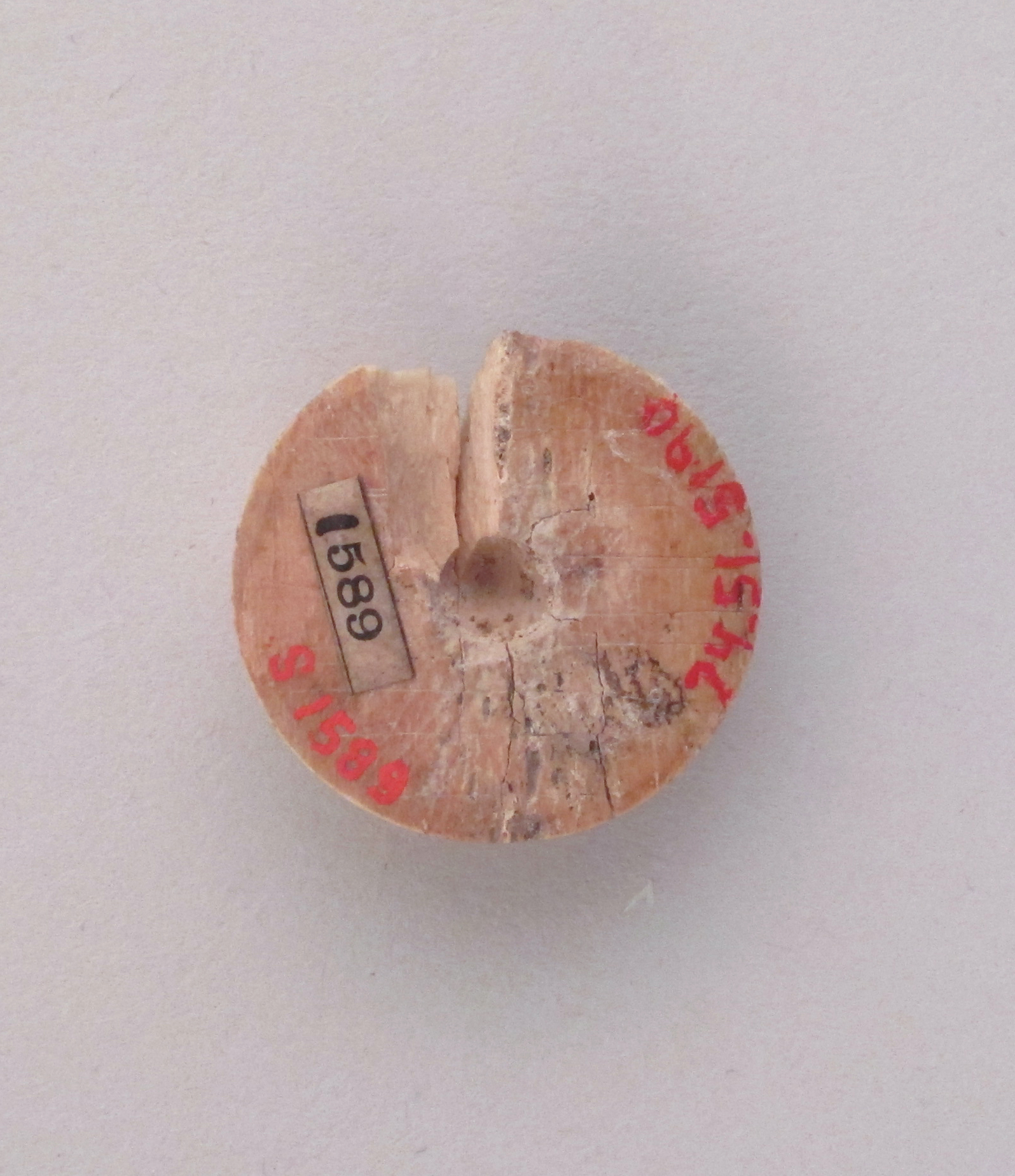 Labeled Ancient Bone Artifact
