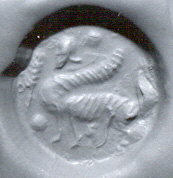 Close-up of Damaged Screw Head