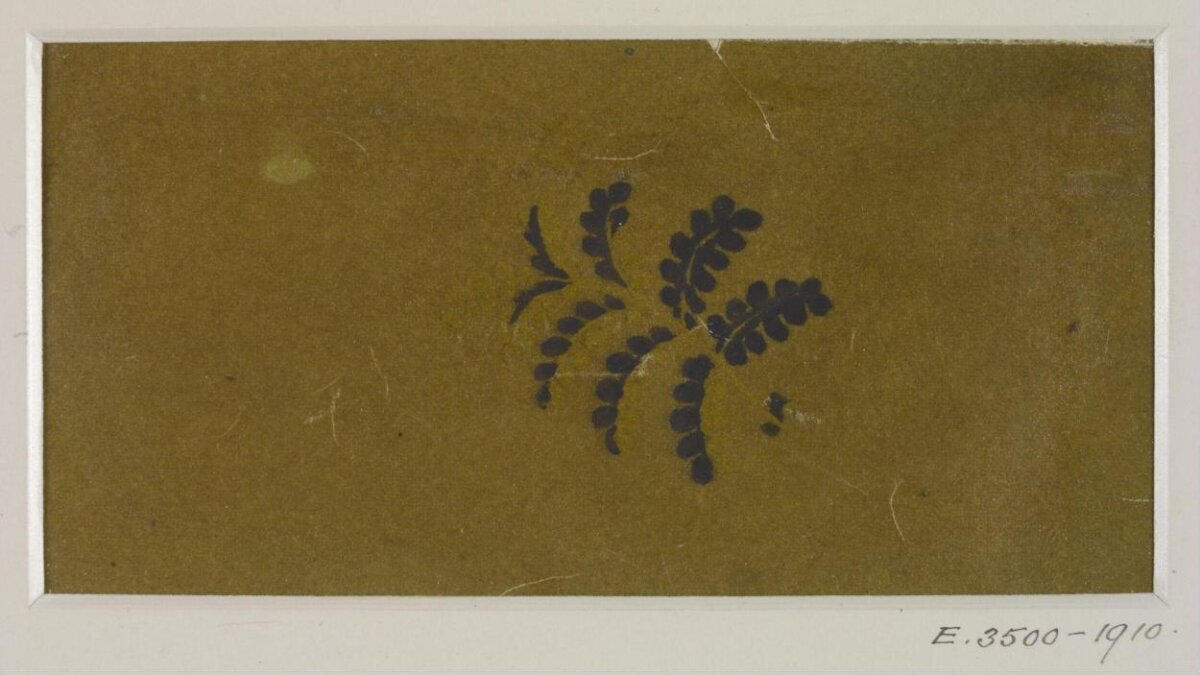 Fern Imprint on Ochre Paper