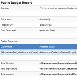 Public Budget Report