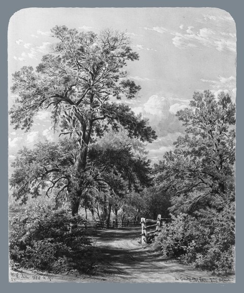 Country Lane Landscape Sketch