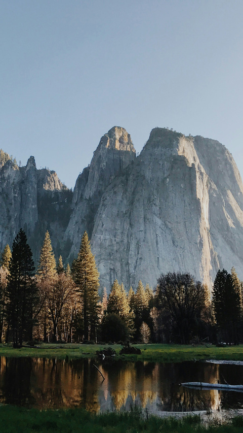Image 1549317 — Nature