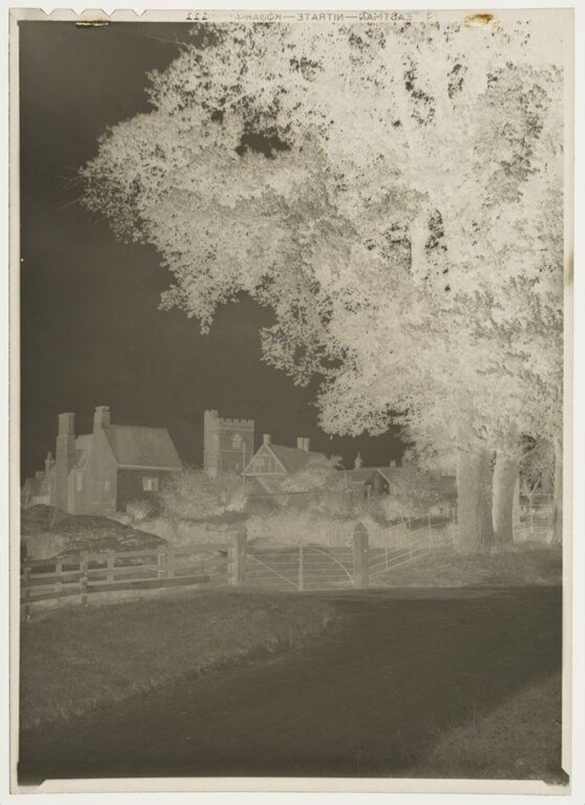 Vintage Negative of Rural Country Scene