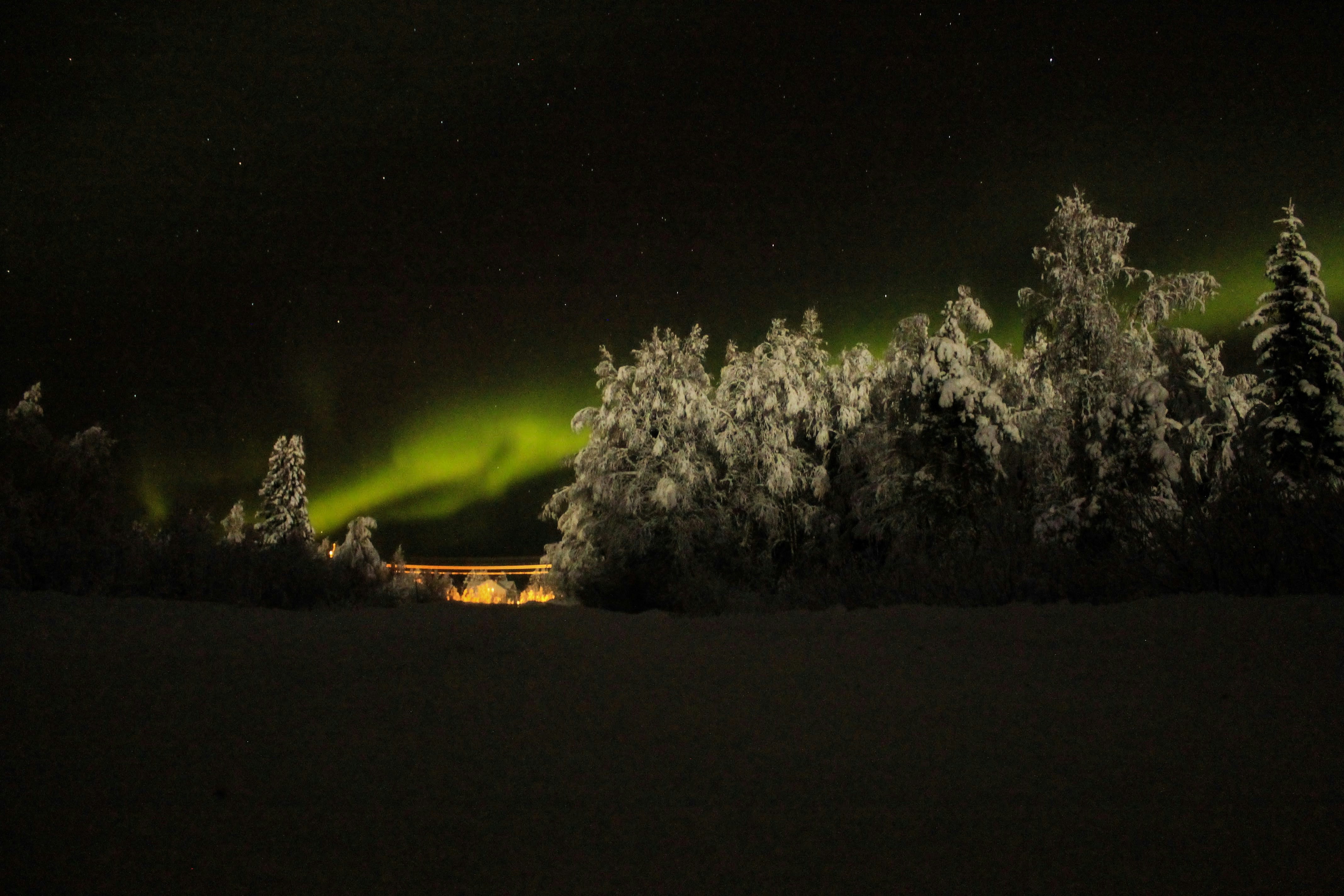 Aurora Over Snowy Night Forest