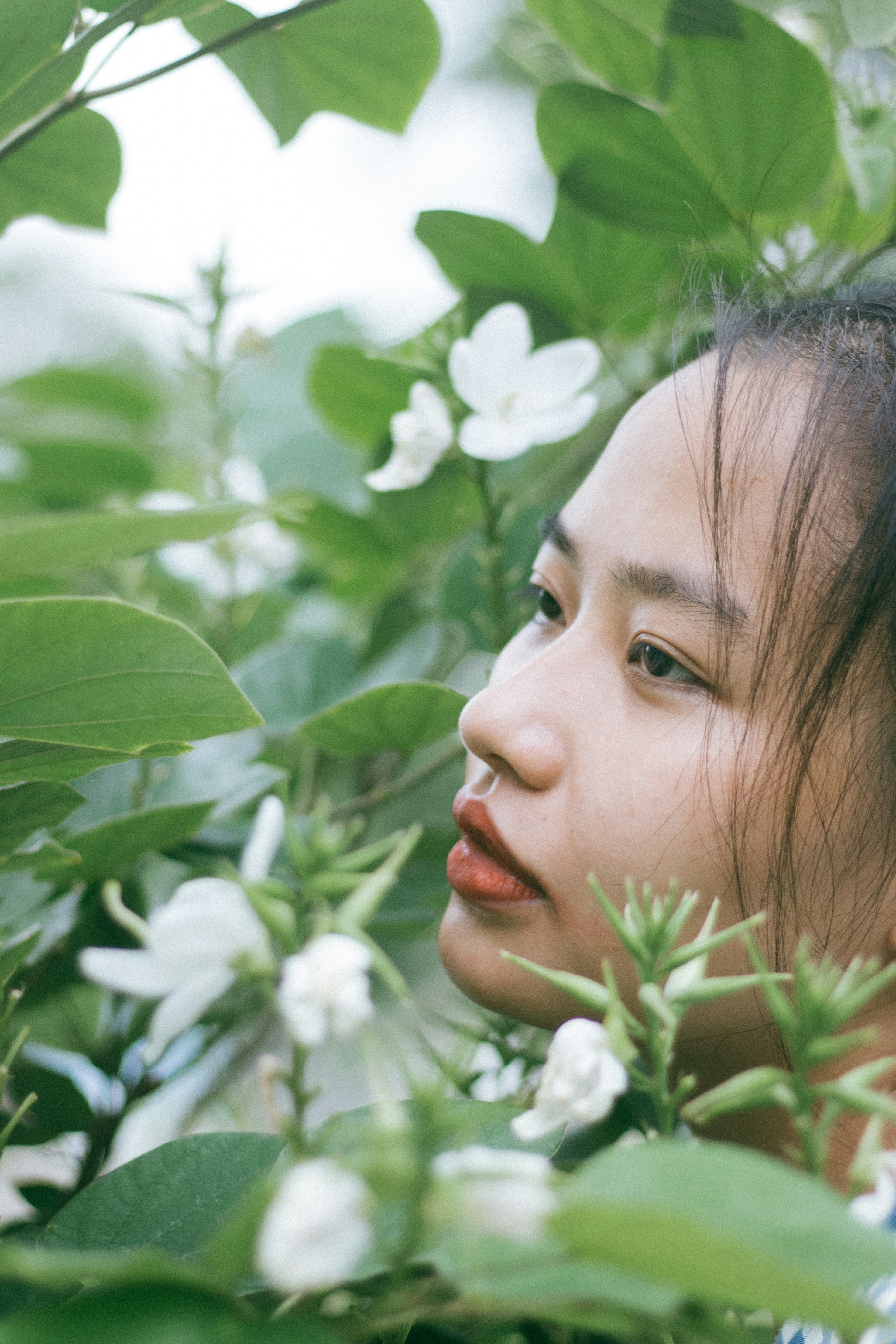 Forest & Flora