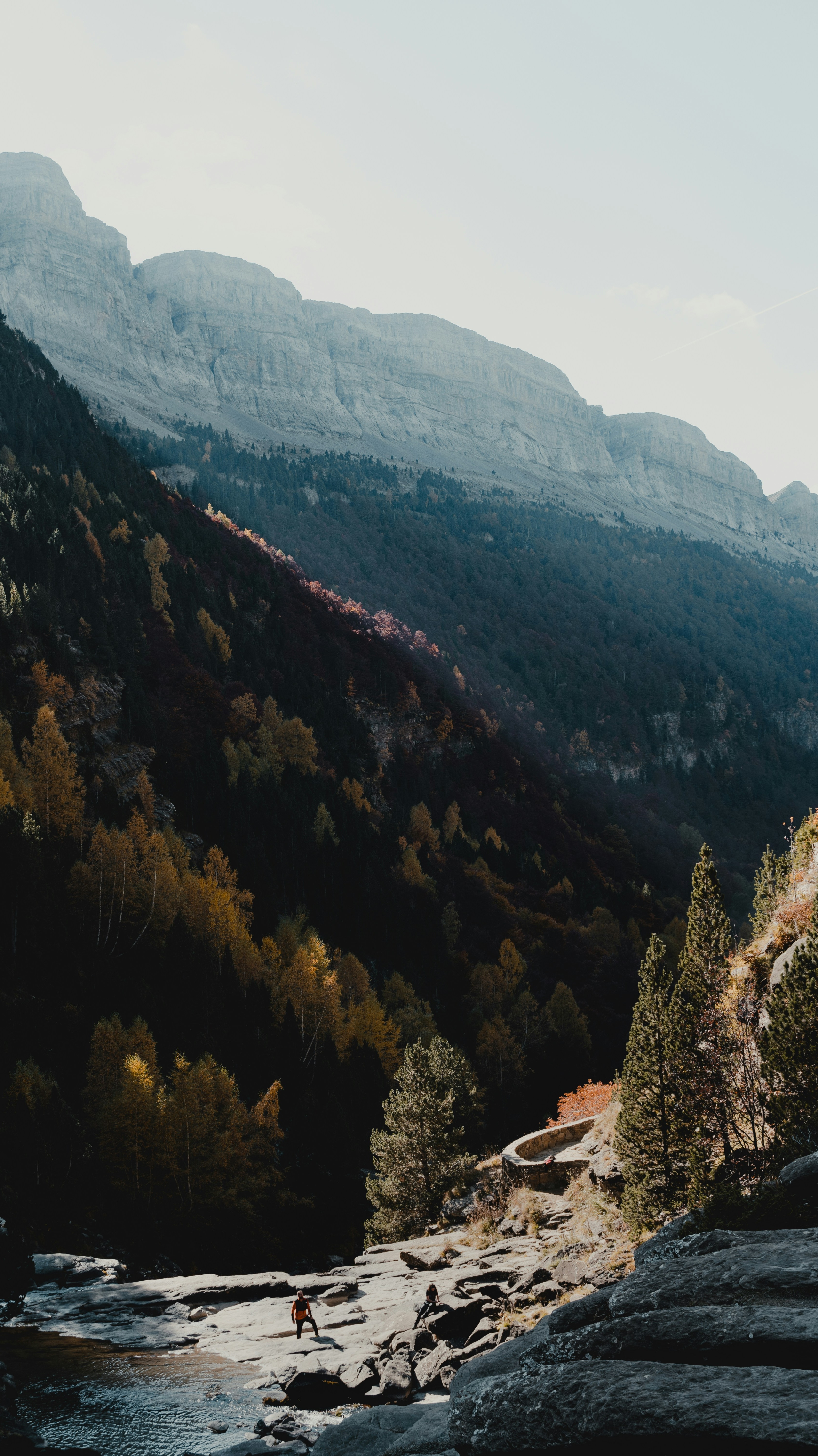 Wallpapers