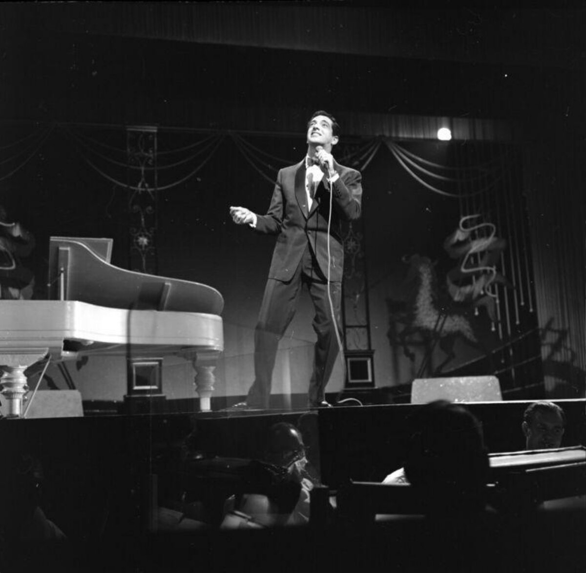 Male Singer Performing On Stage