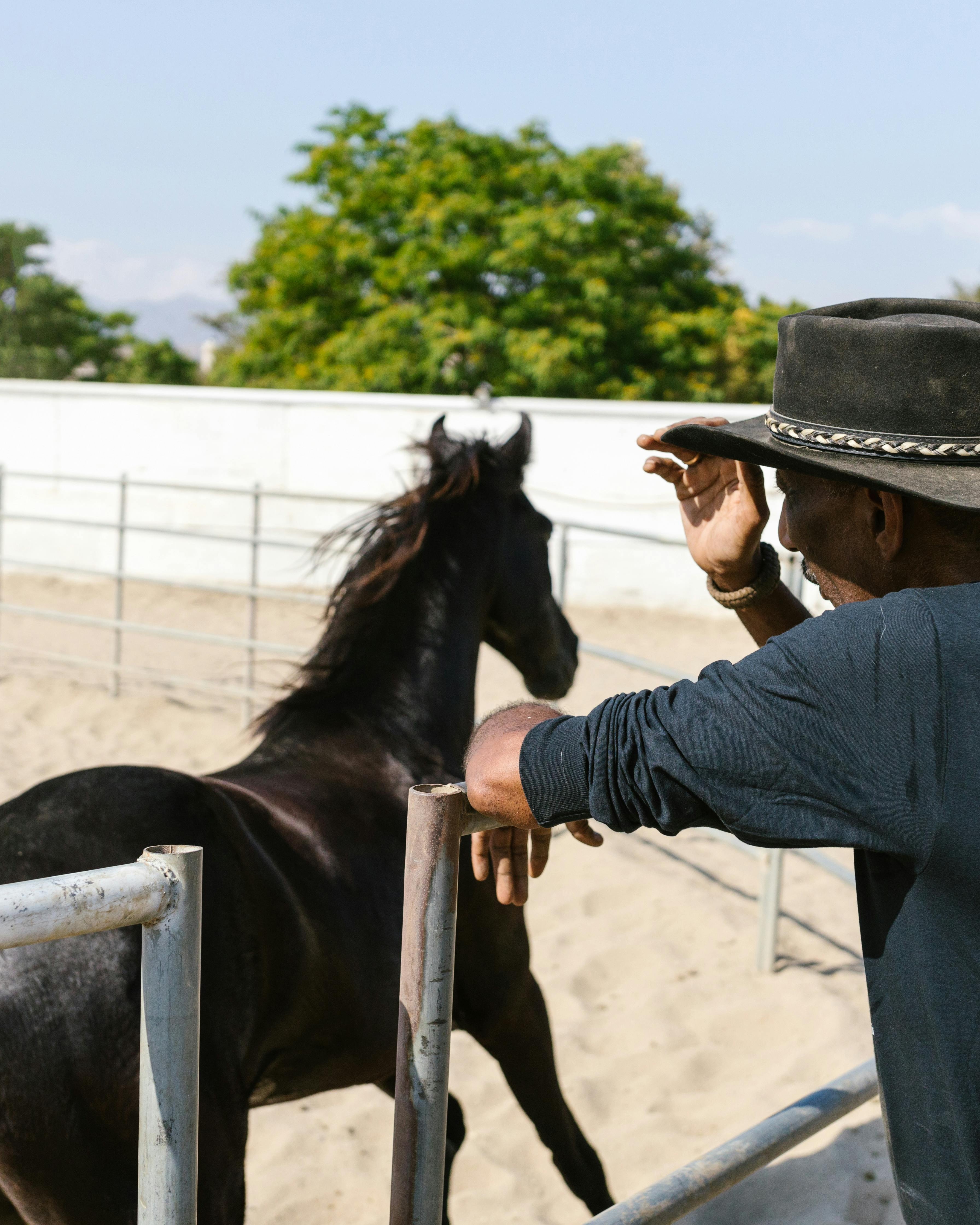 Man Observing Black Horse in Corral