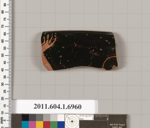 Ancient Pottery Fragment