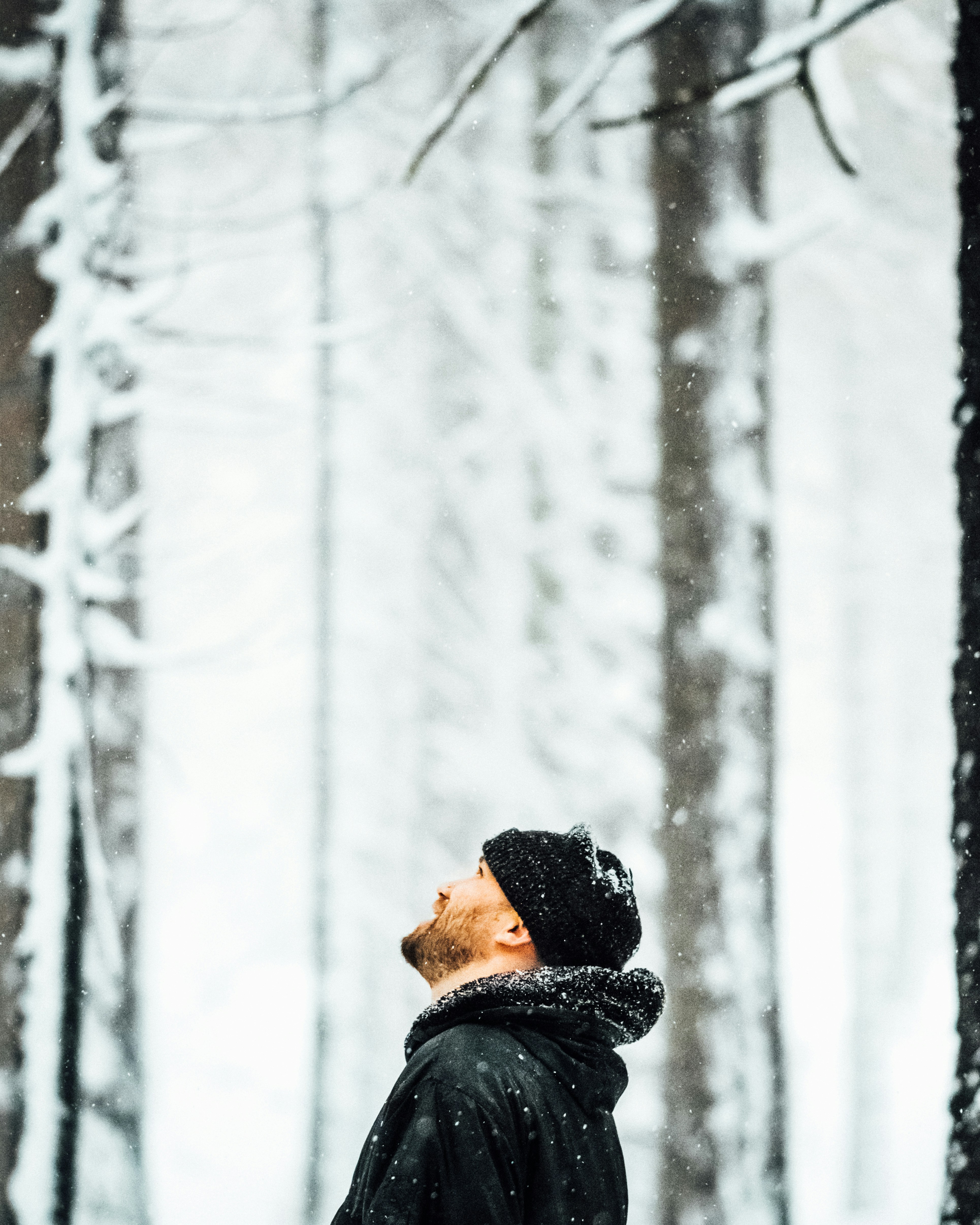 Man Looking Up In Snowy Forest