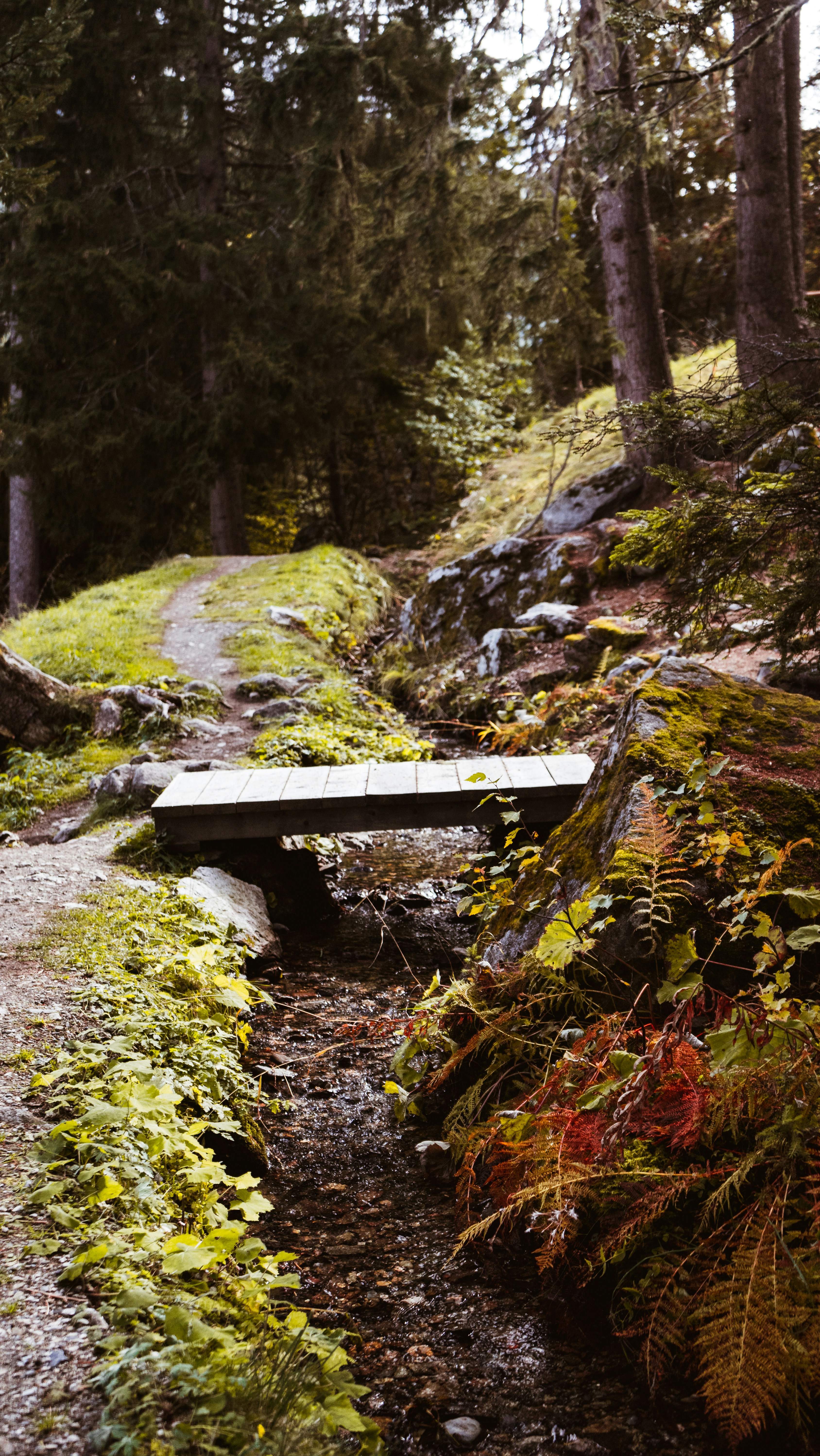 Wallpapers