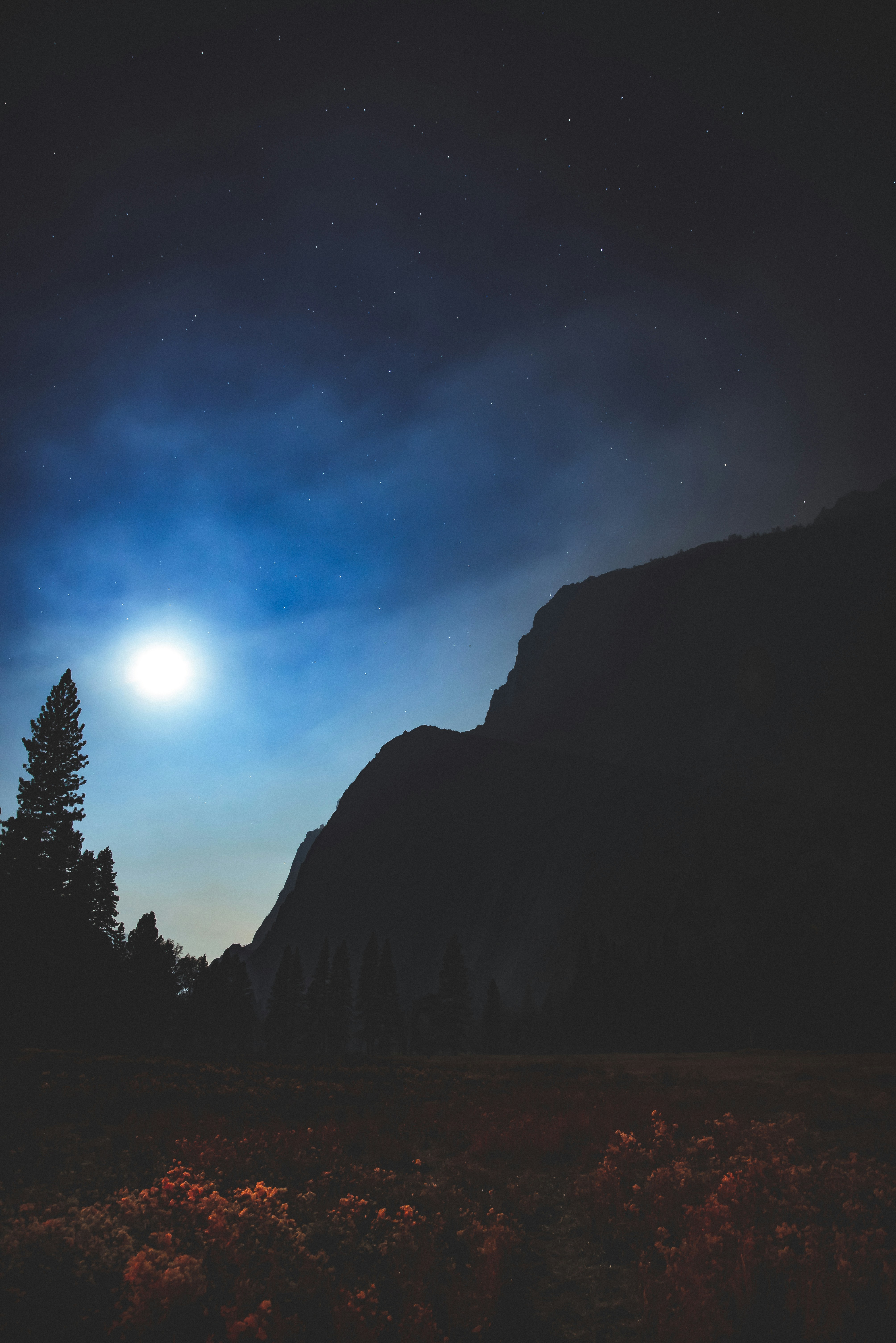 Moonlit Night Mountain Valley