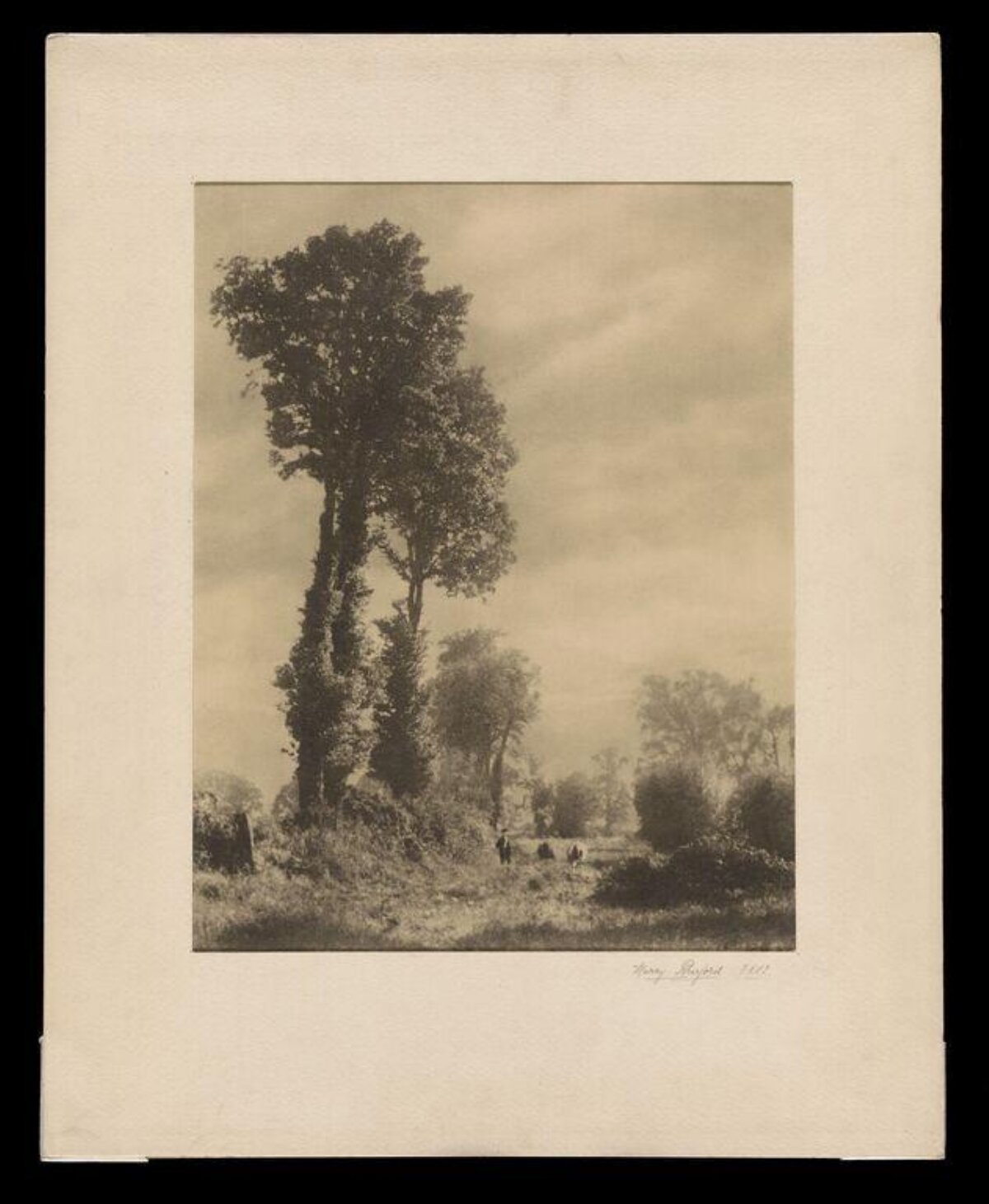 Vintage Countryside Tree Landscape