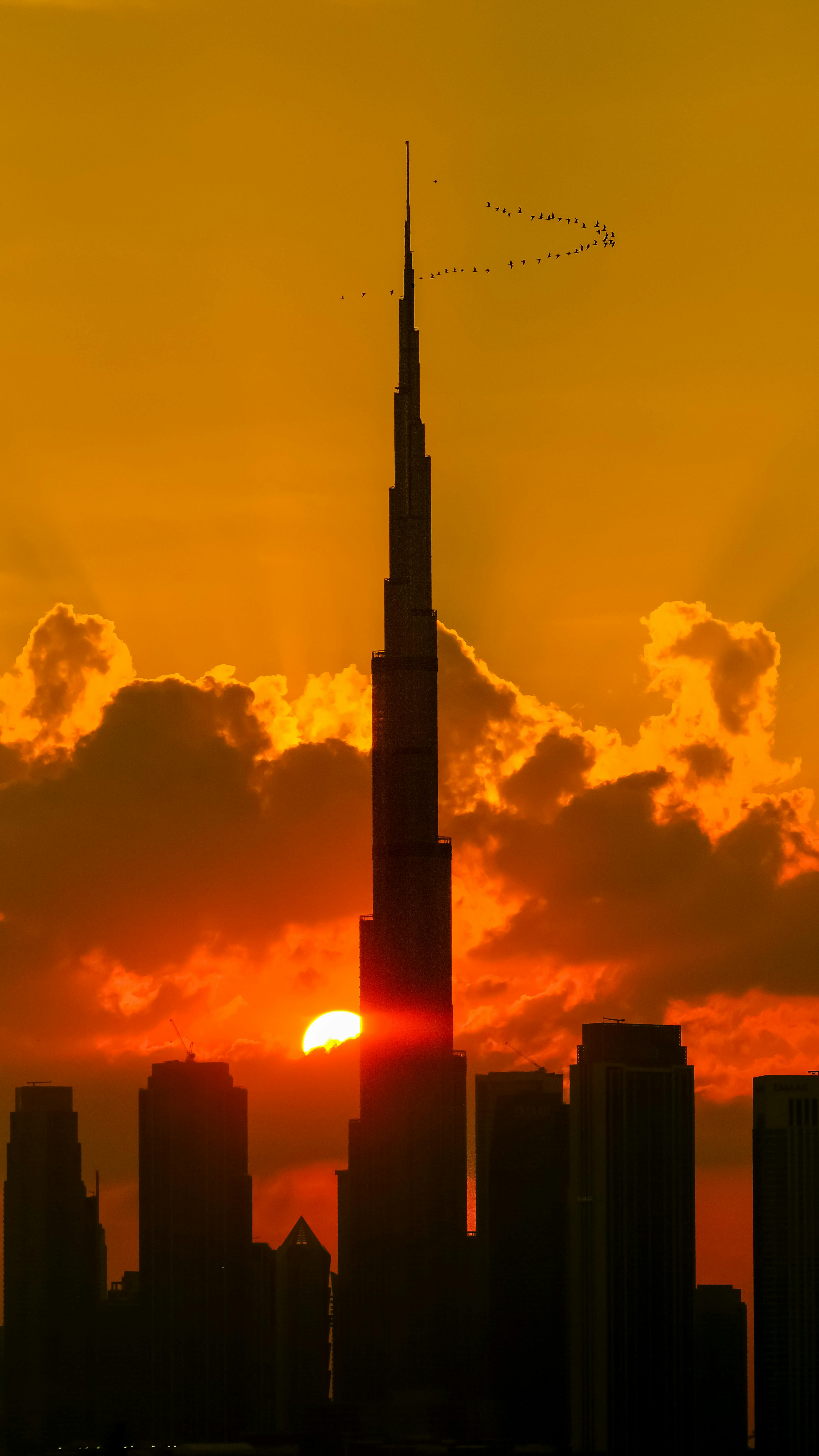 Wallpapers