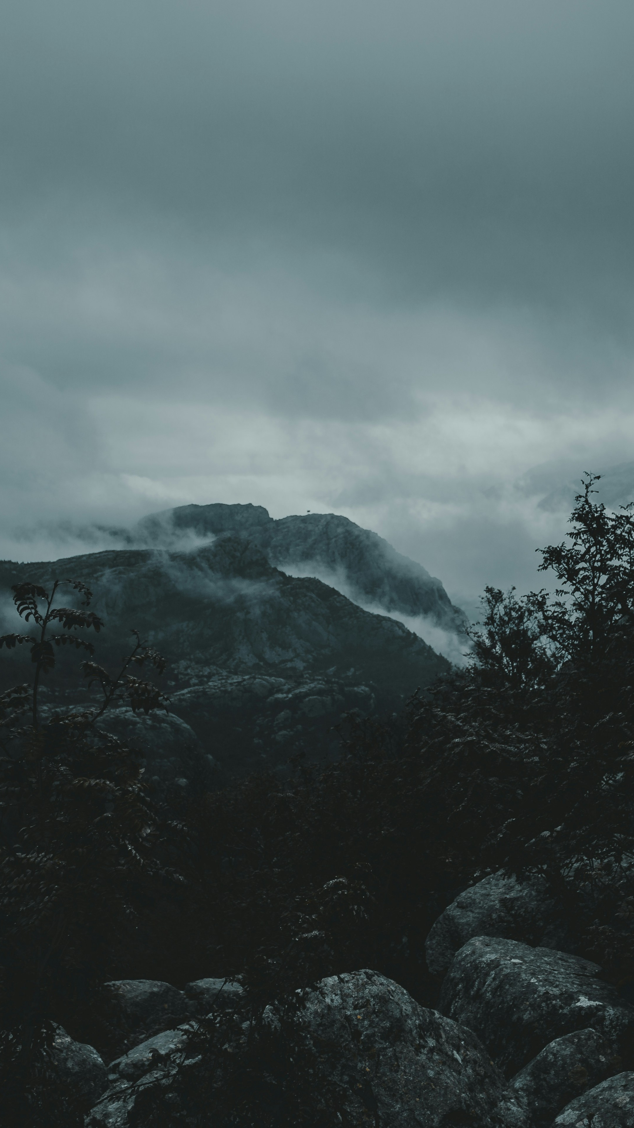 Wallpapers
