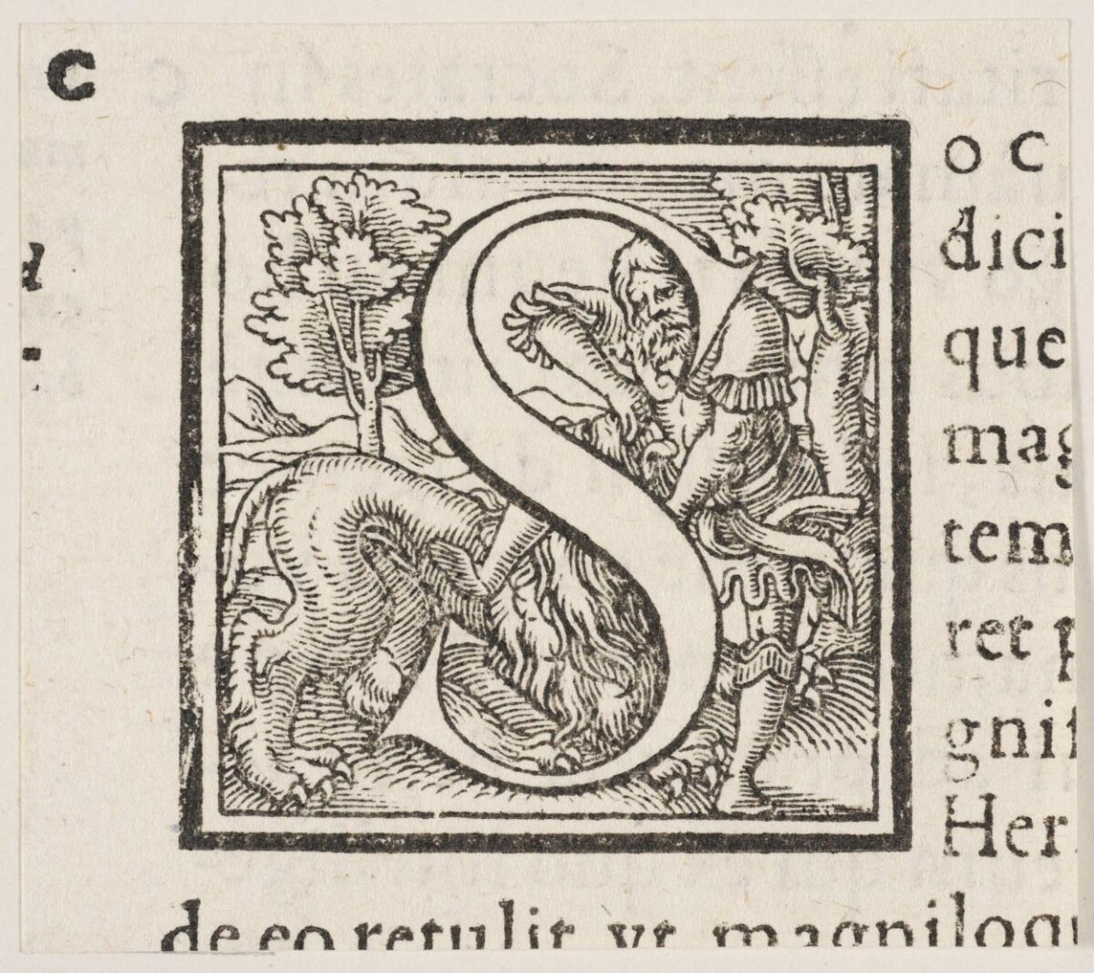 Decorated Initial S Woodcut Print
