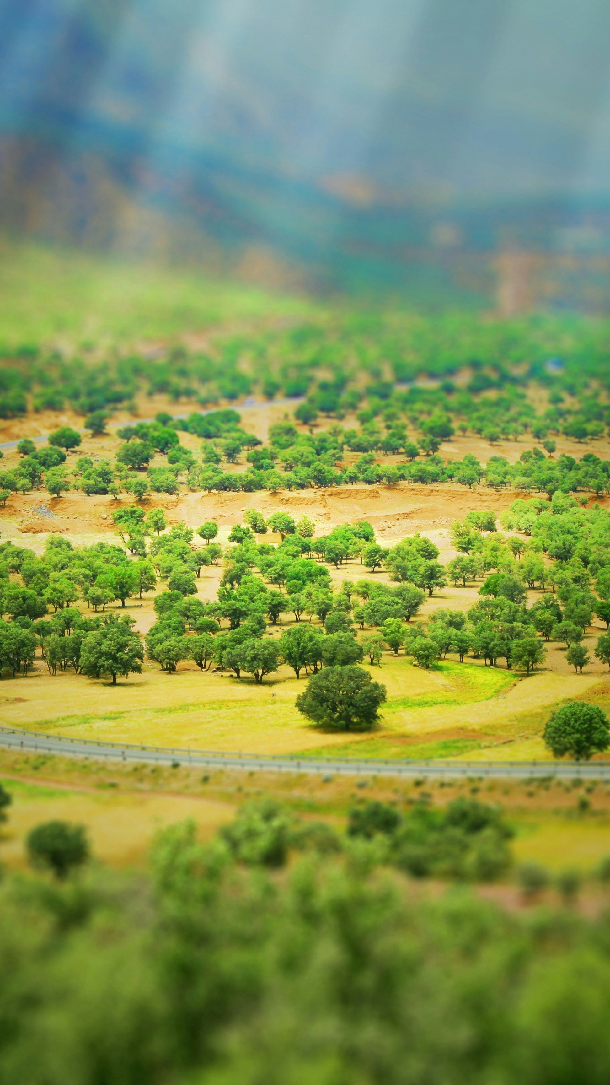 Landscapes