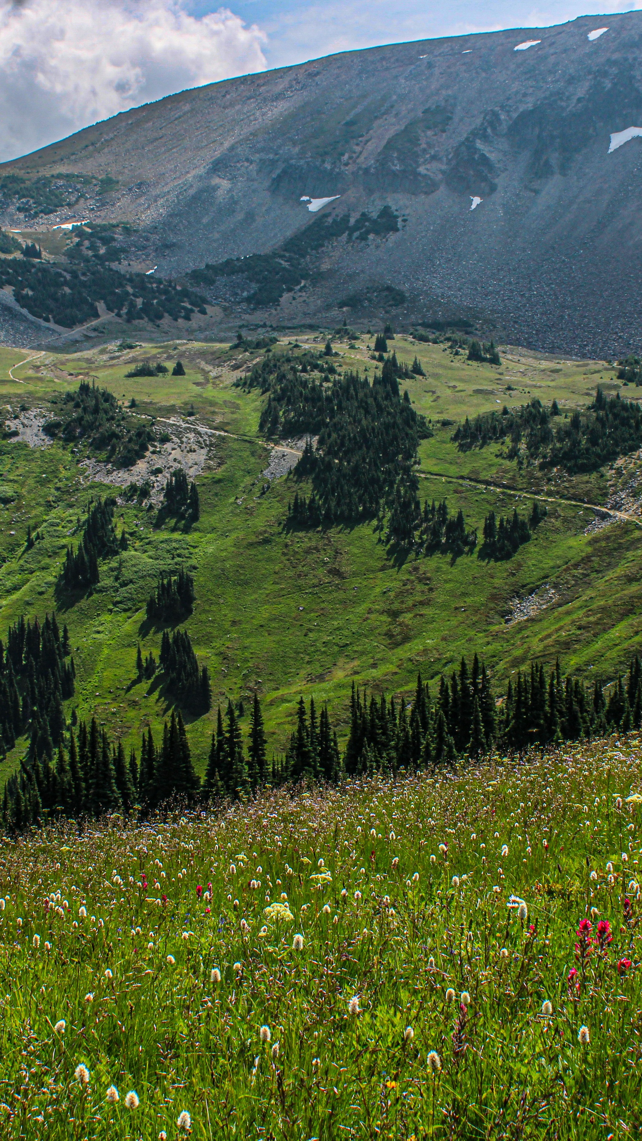 Image 1570493 — Nature